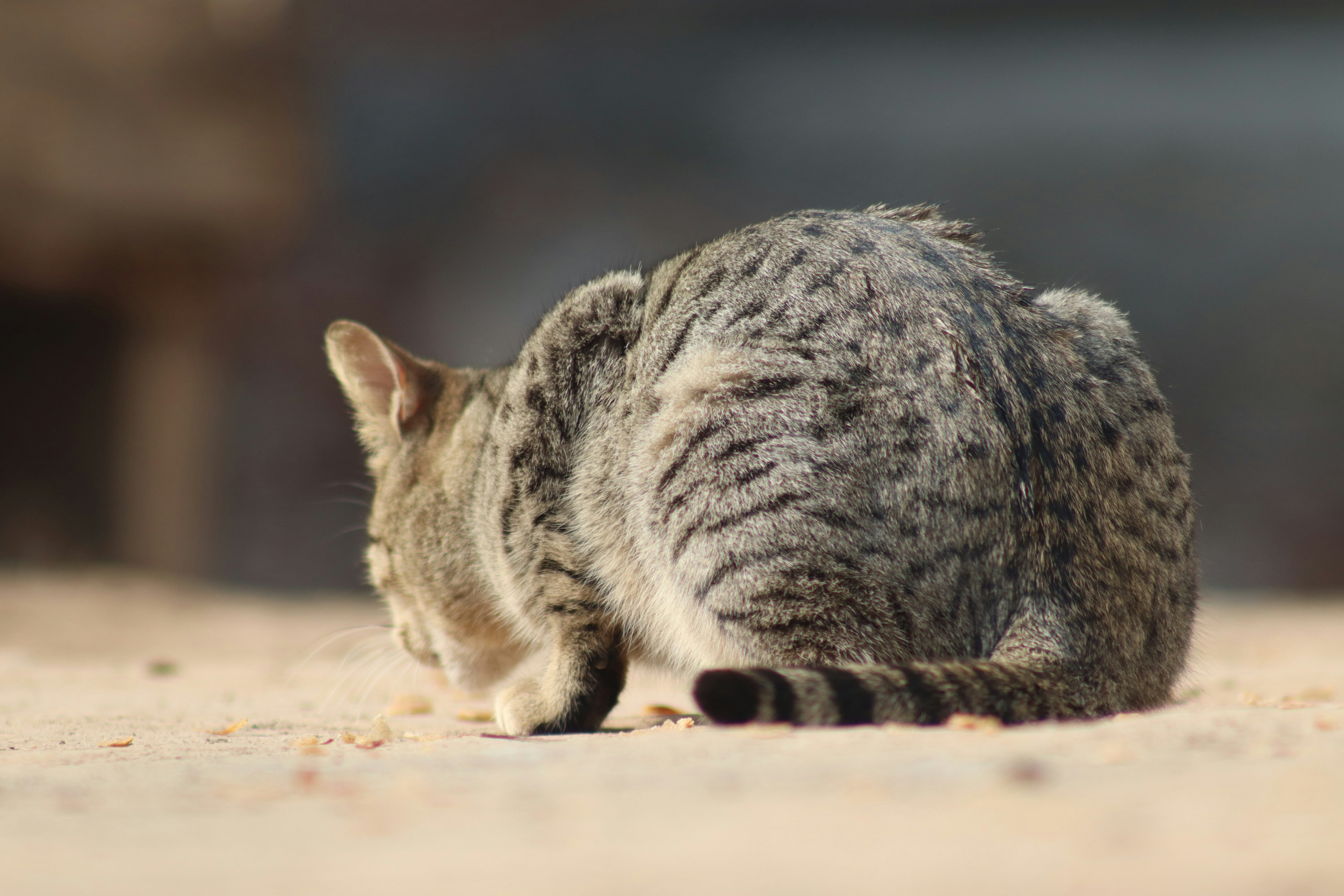 Photo by drphotographer152