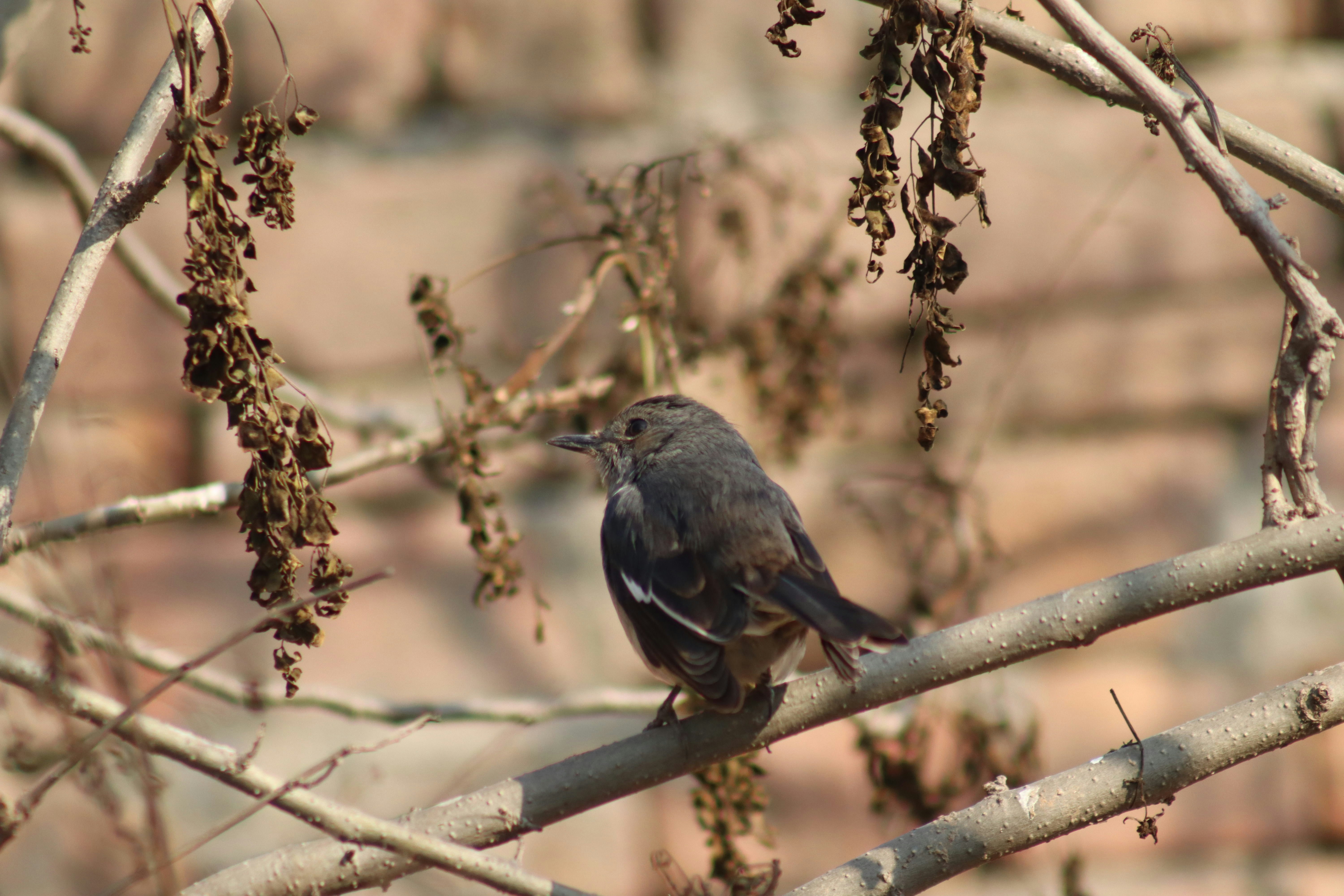 Photo by drphotographer152