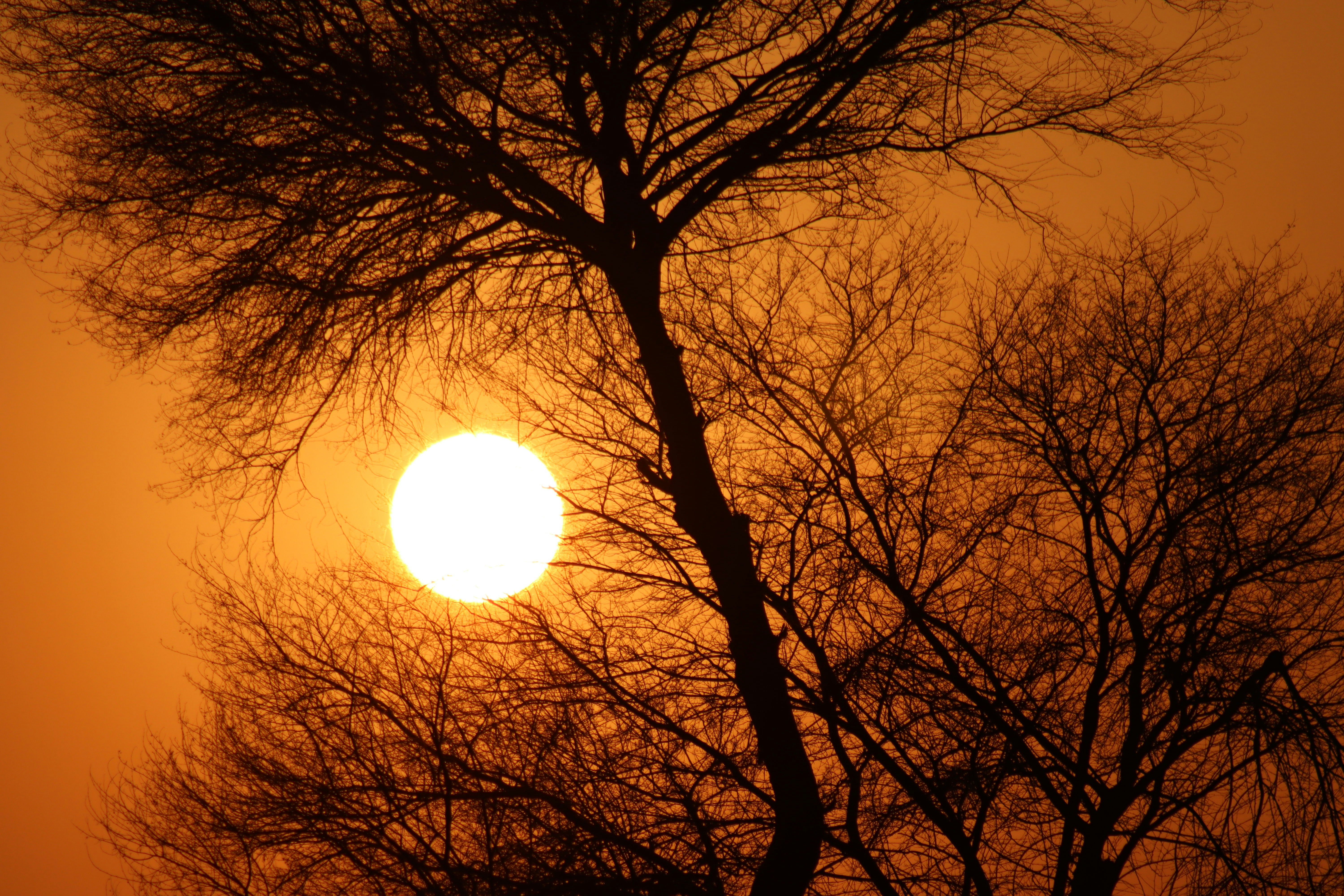 Photo by drphotographer152