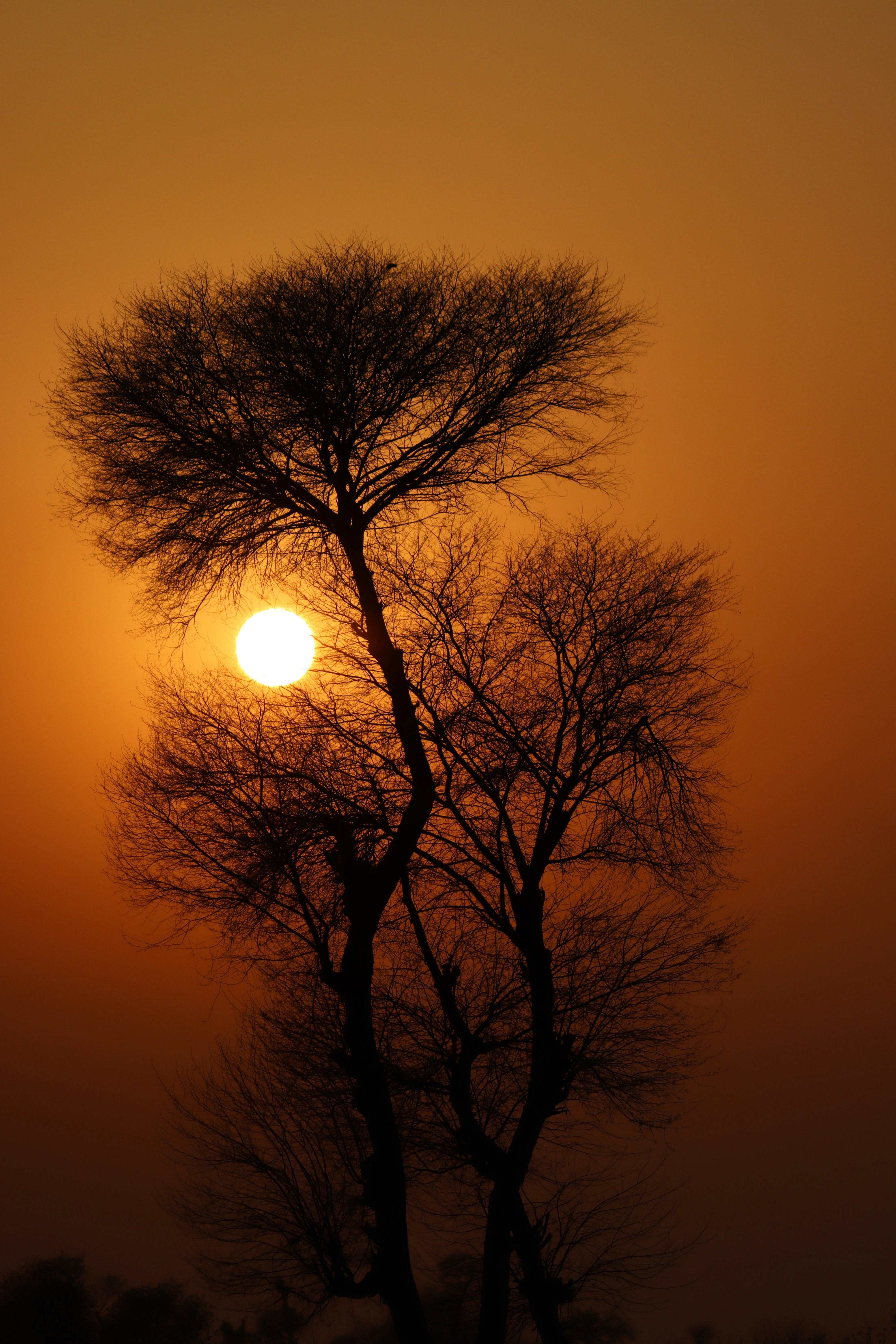 Photo by drphotographer152