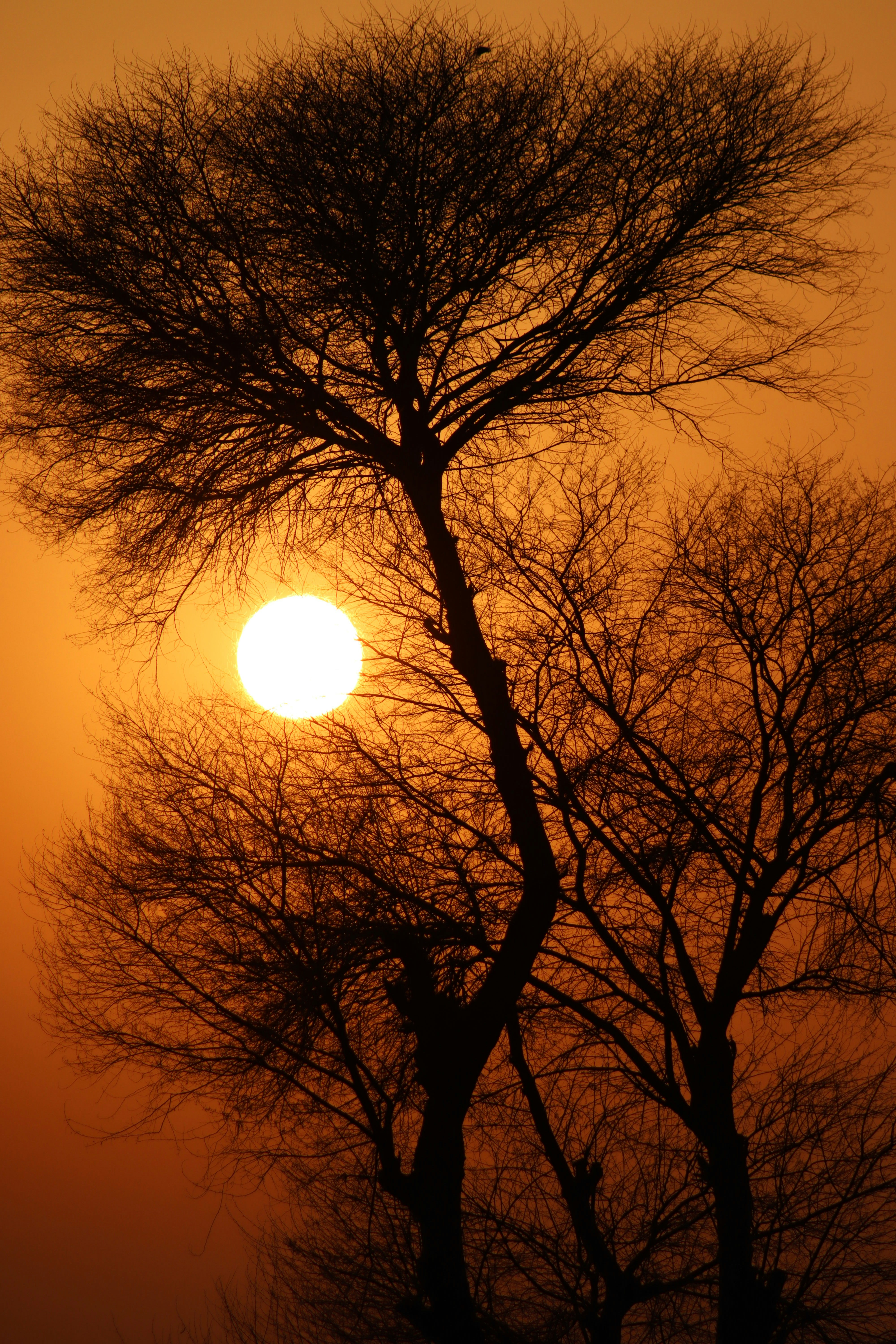 Photo by drphotographer152