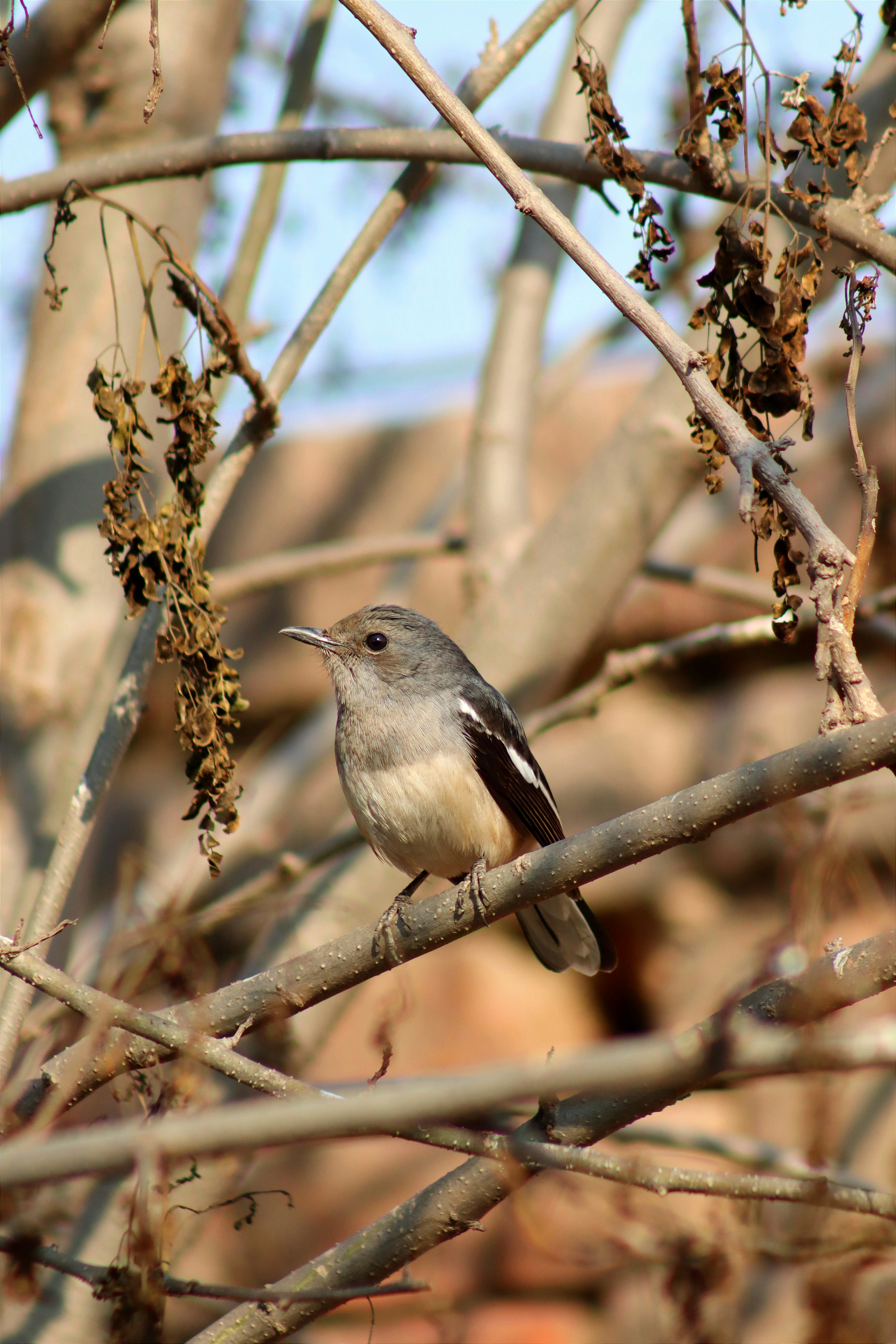 Photo by drphotographer152