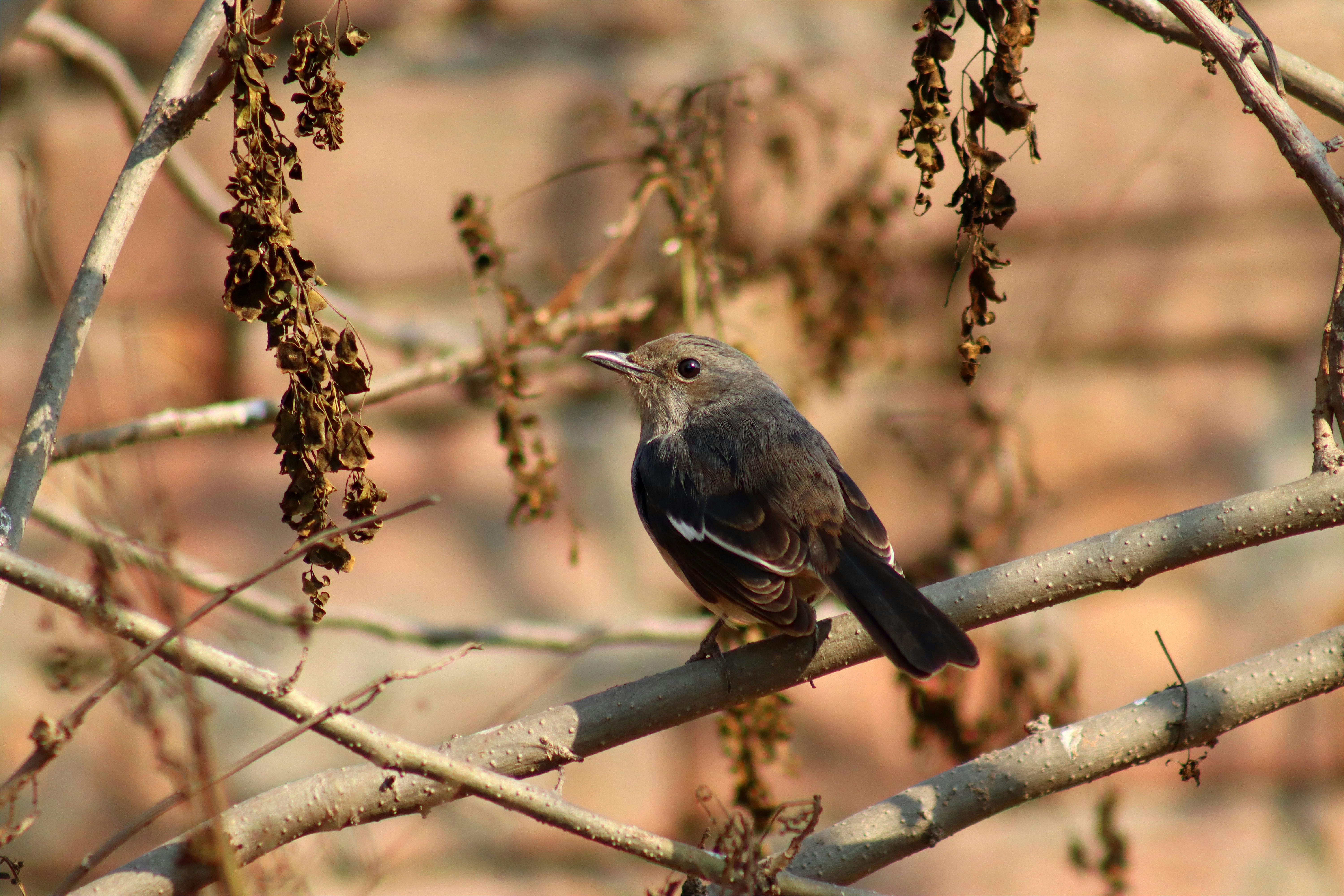 Photo by drphotographer152