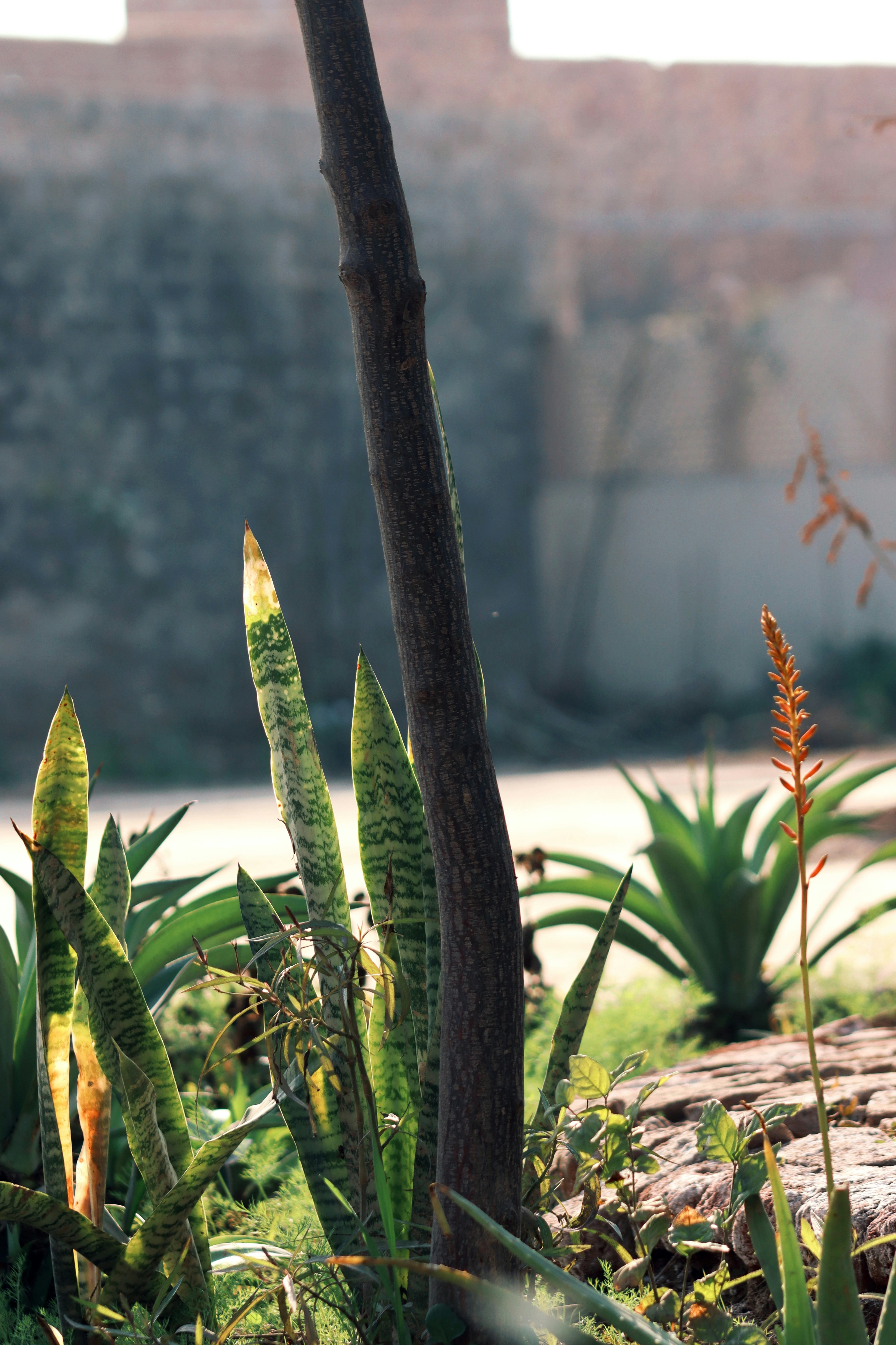 Photo by drphotographer152