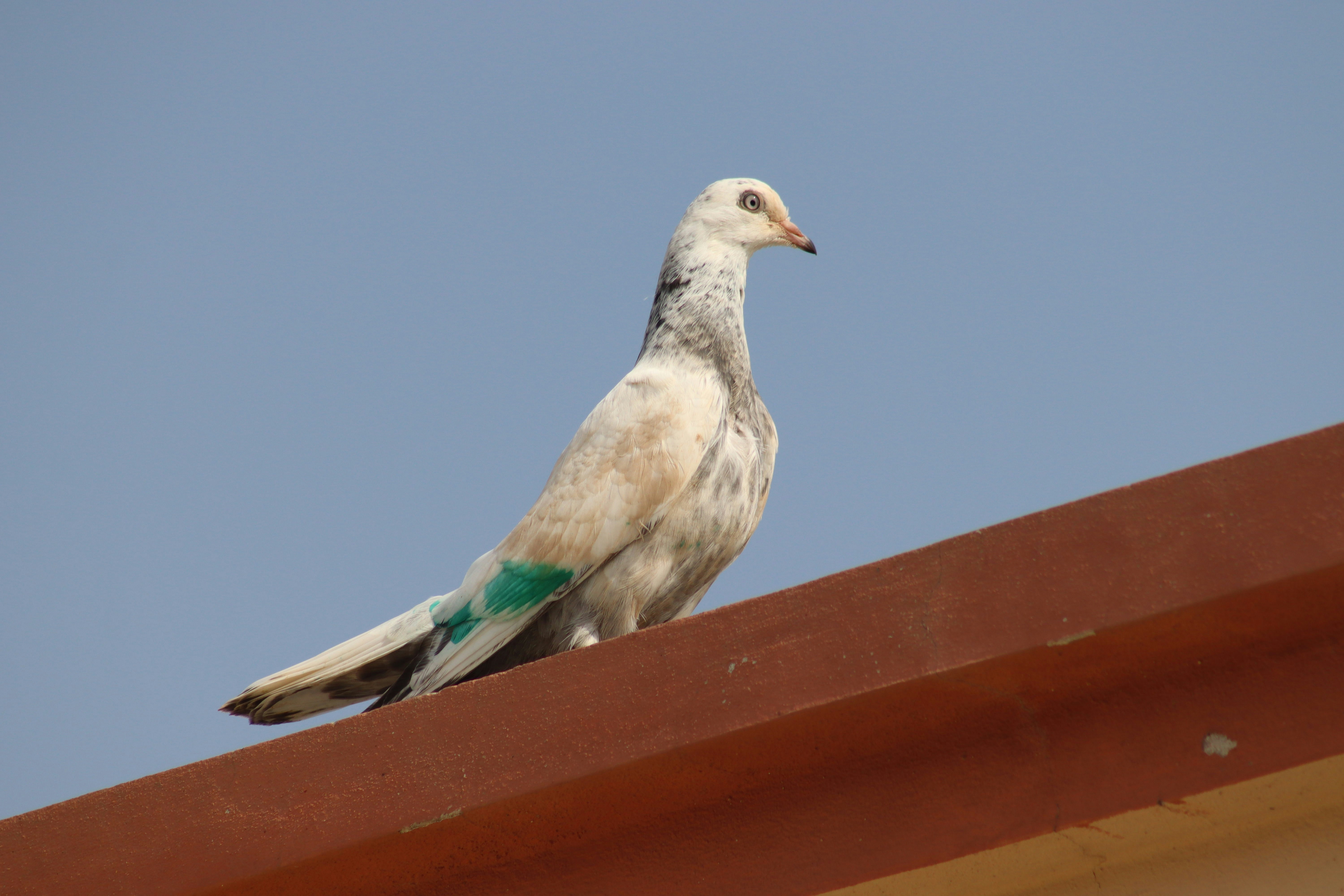 The Discovery That Changed Everything (image credits: unsplash)