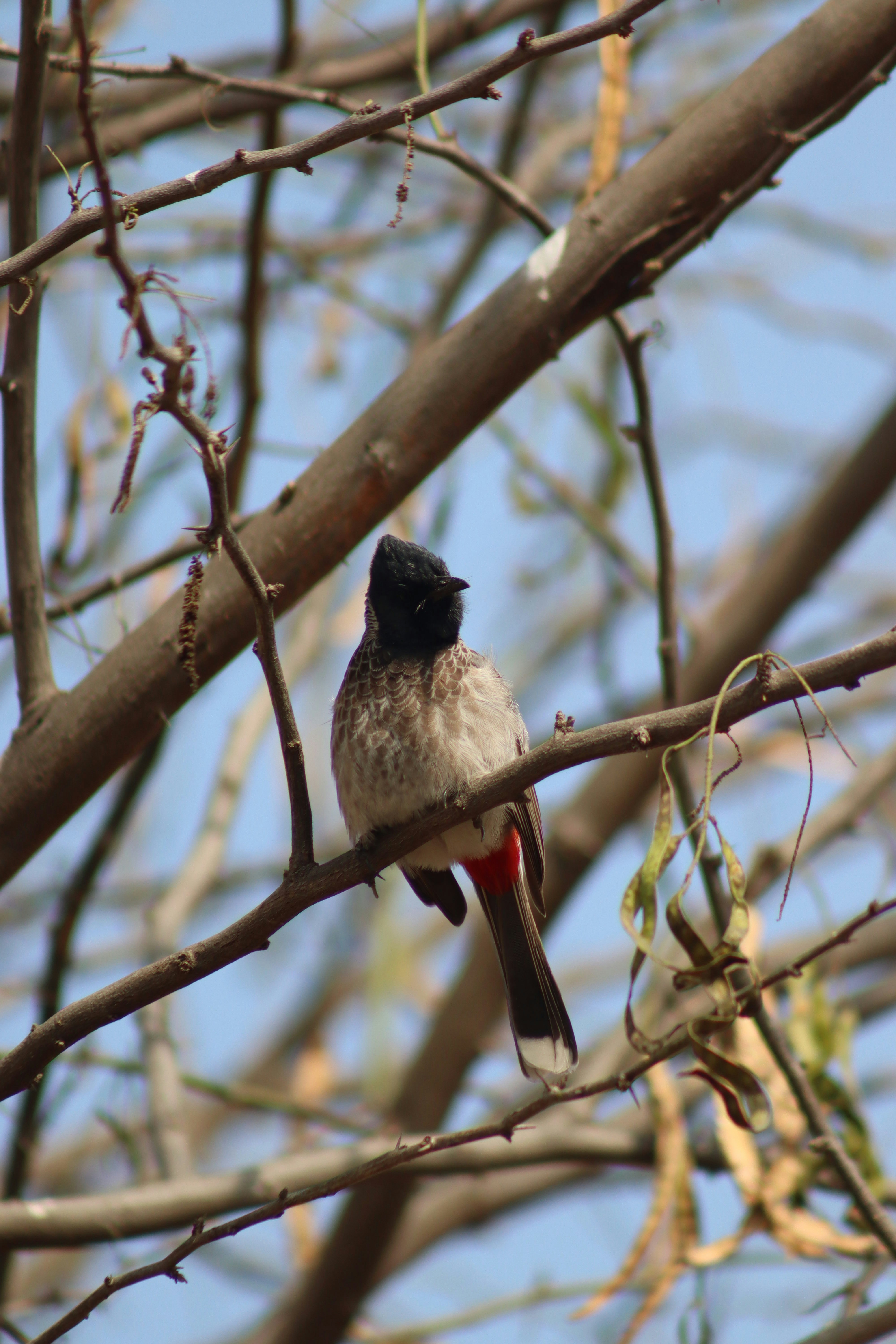 Photo by drphotographer152