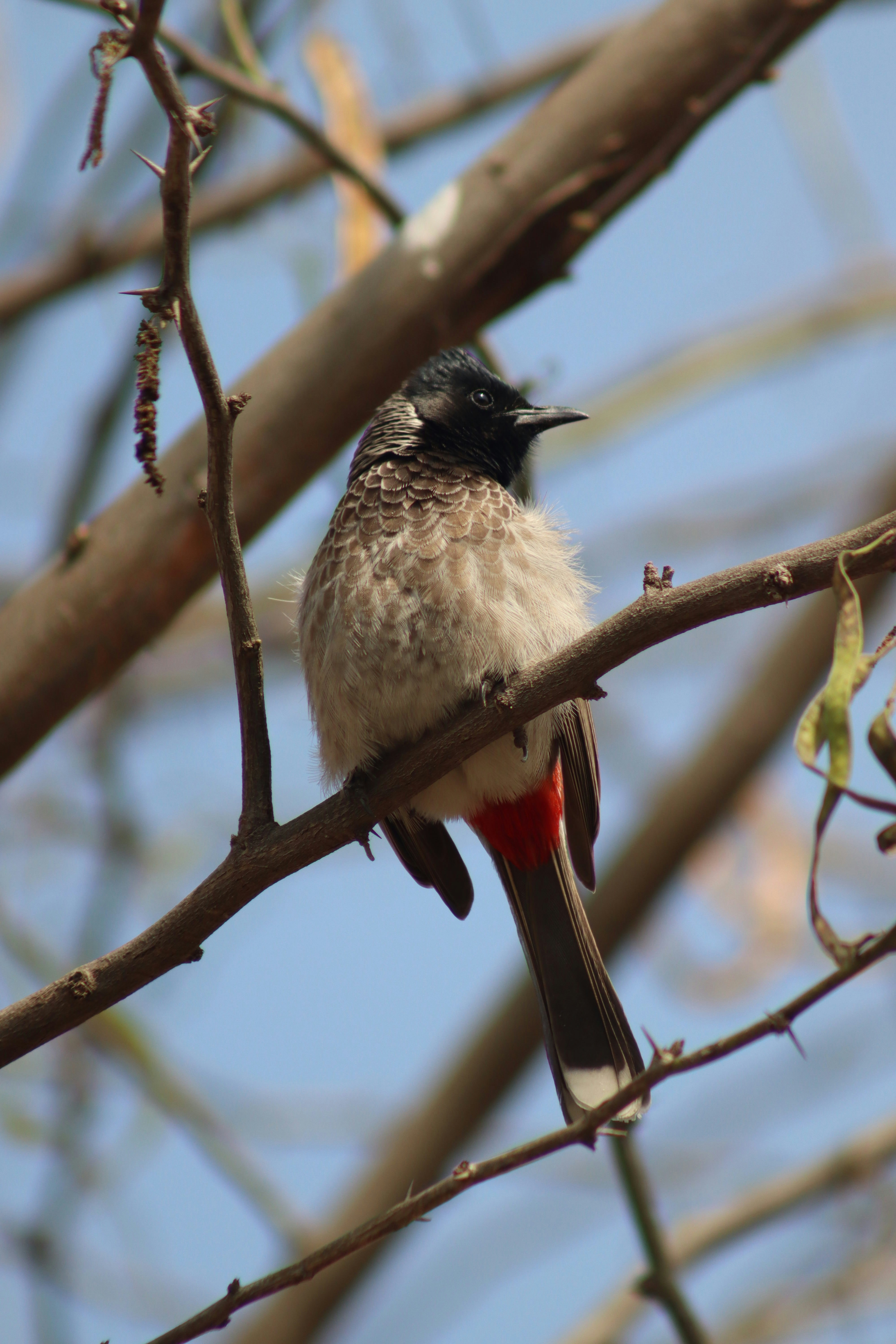 Photo by drphotographer152