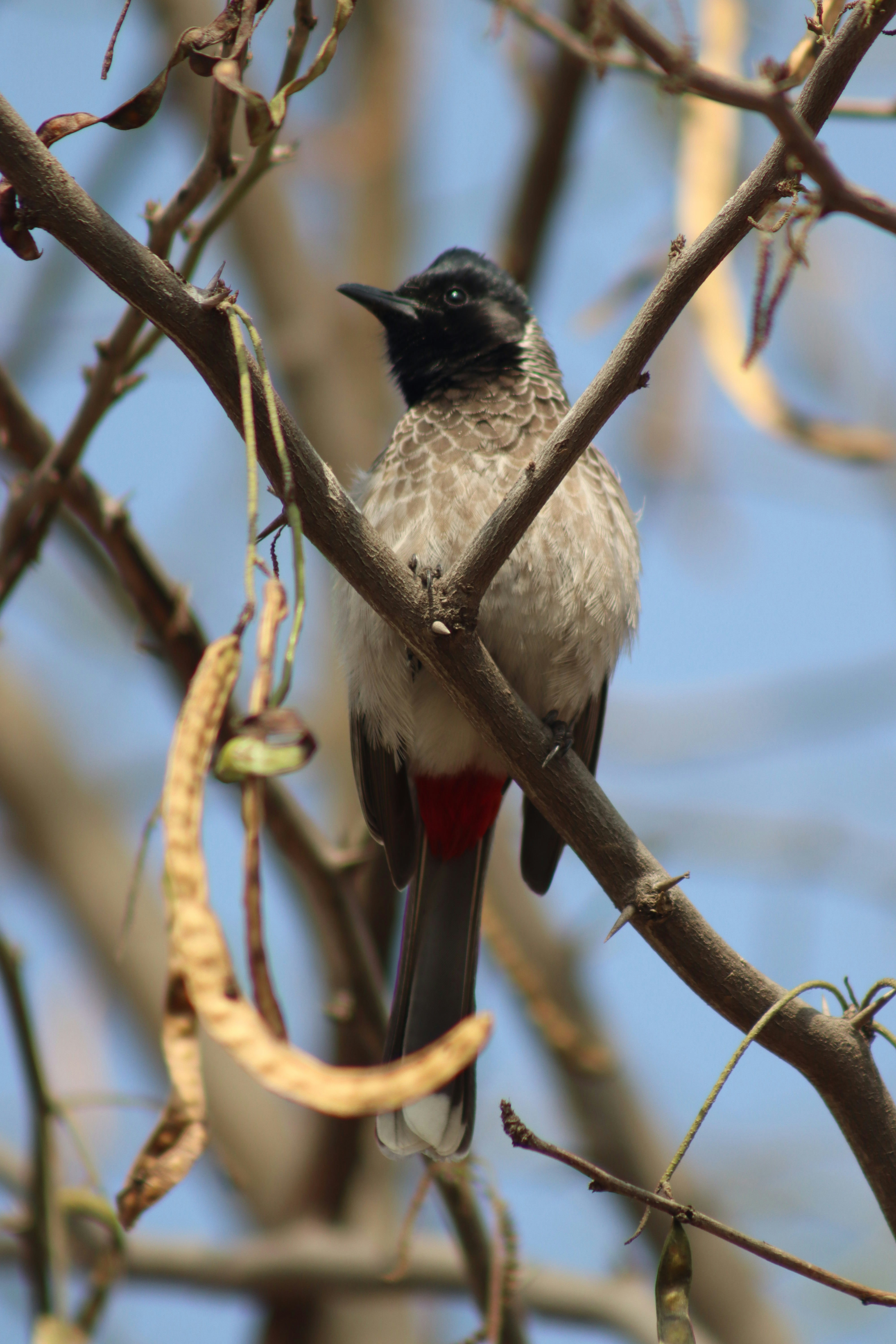 Photo by drphotographer152