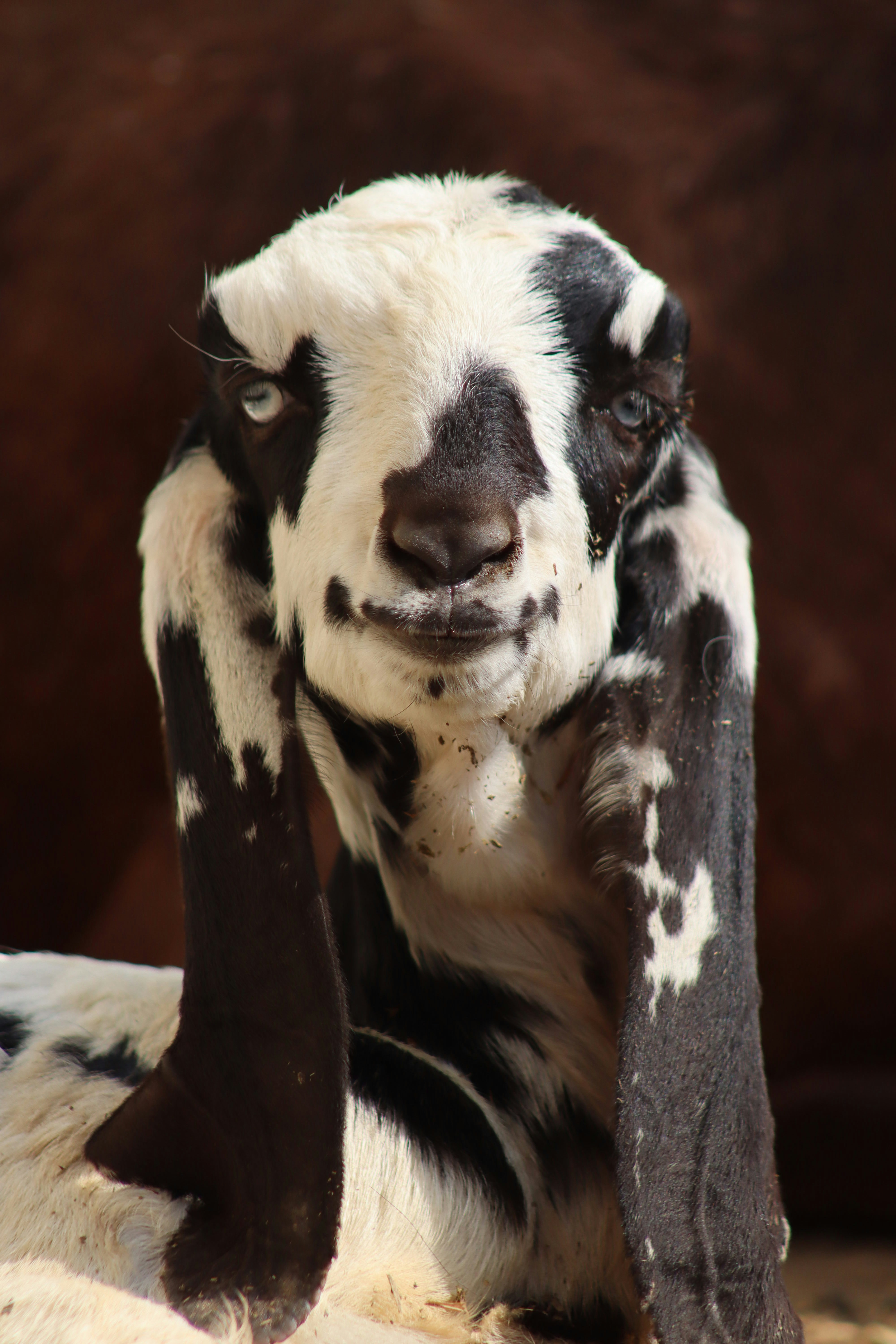 Photo by drphotographer152