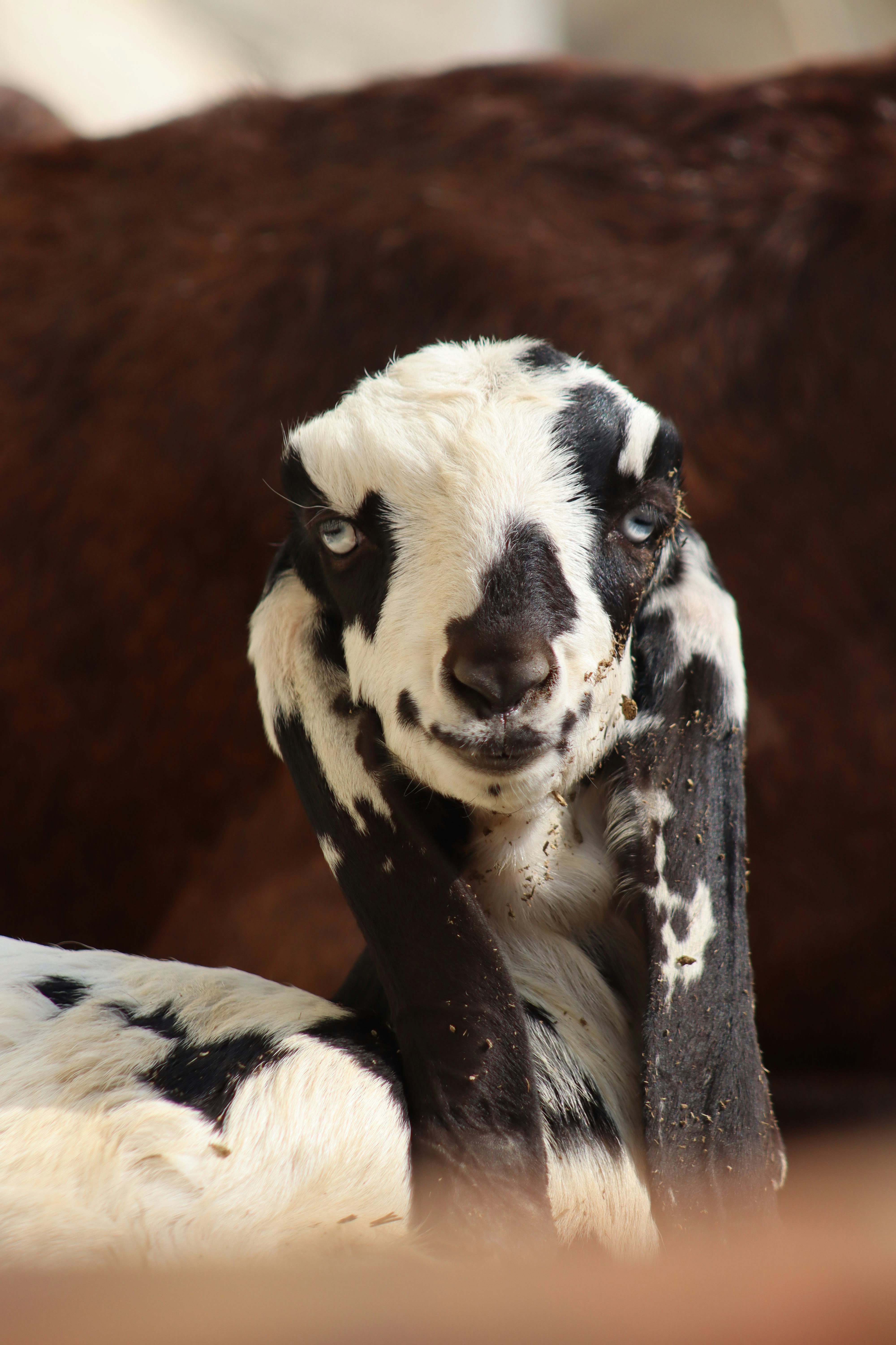 Photo by drphotographer152