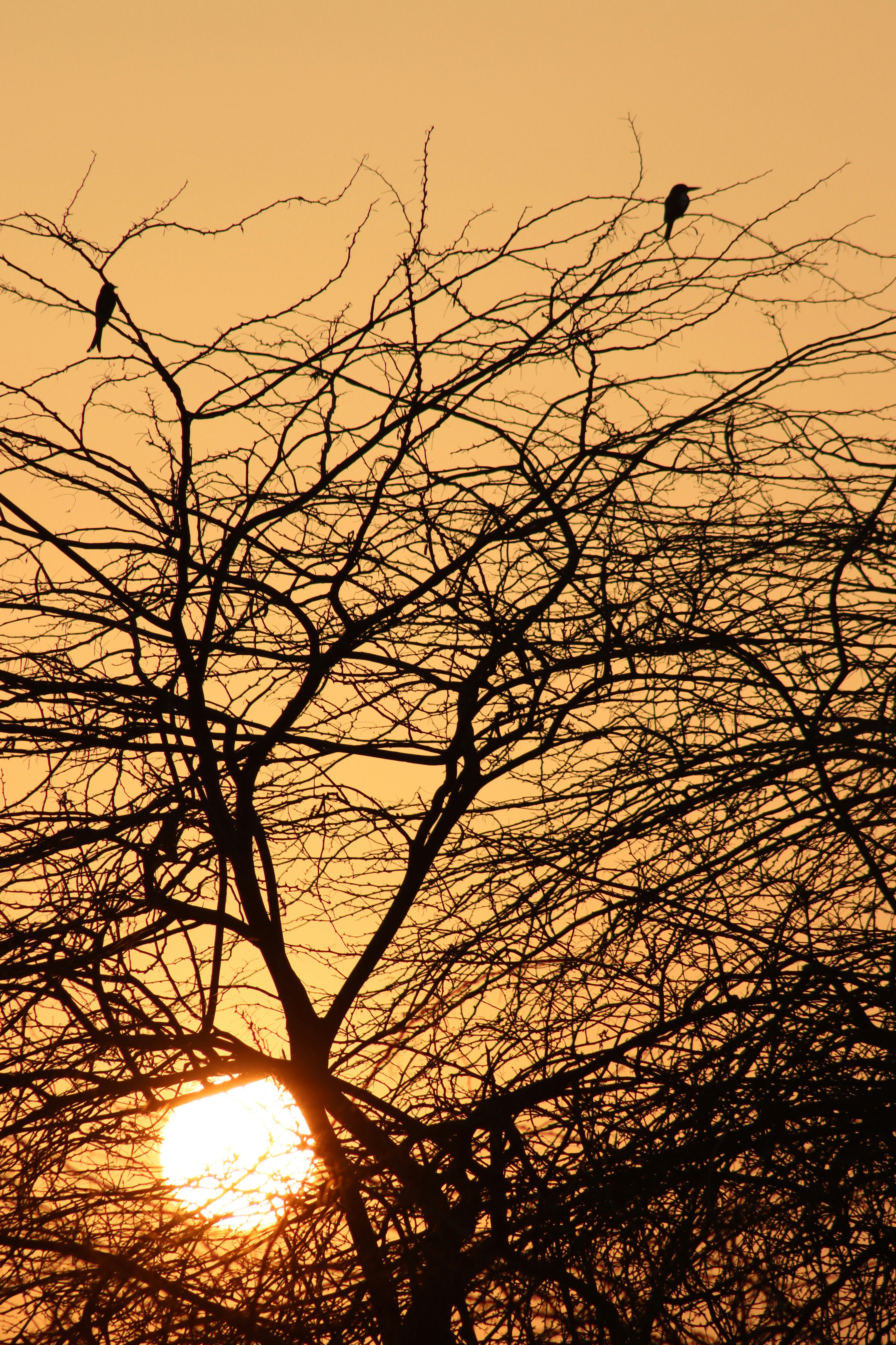 Photo by drphotographer152