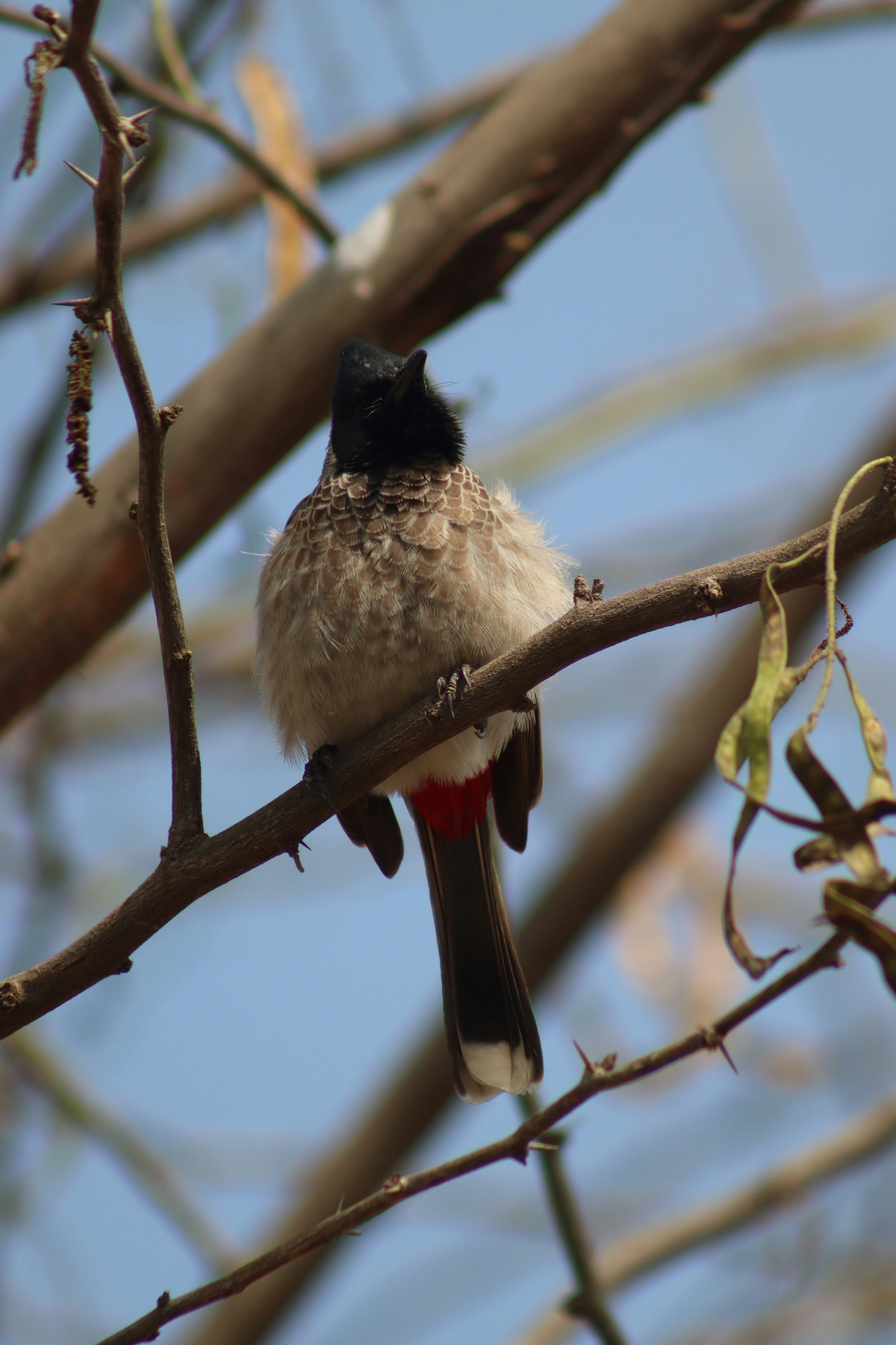 Photo by drphotographer152