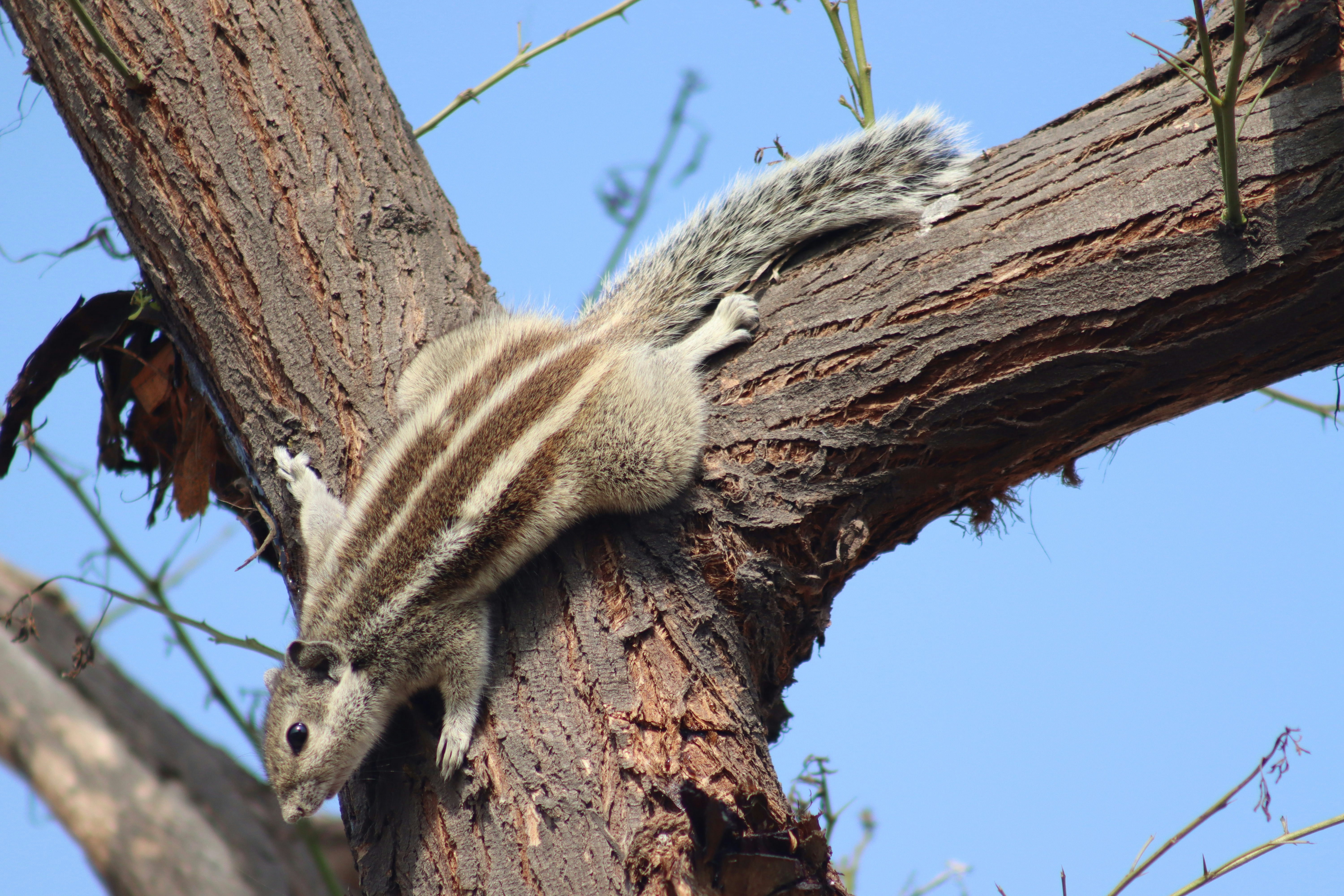 Photo by drphotographer152