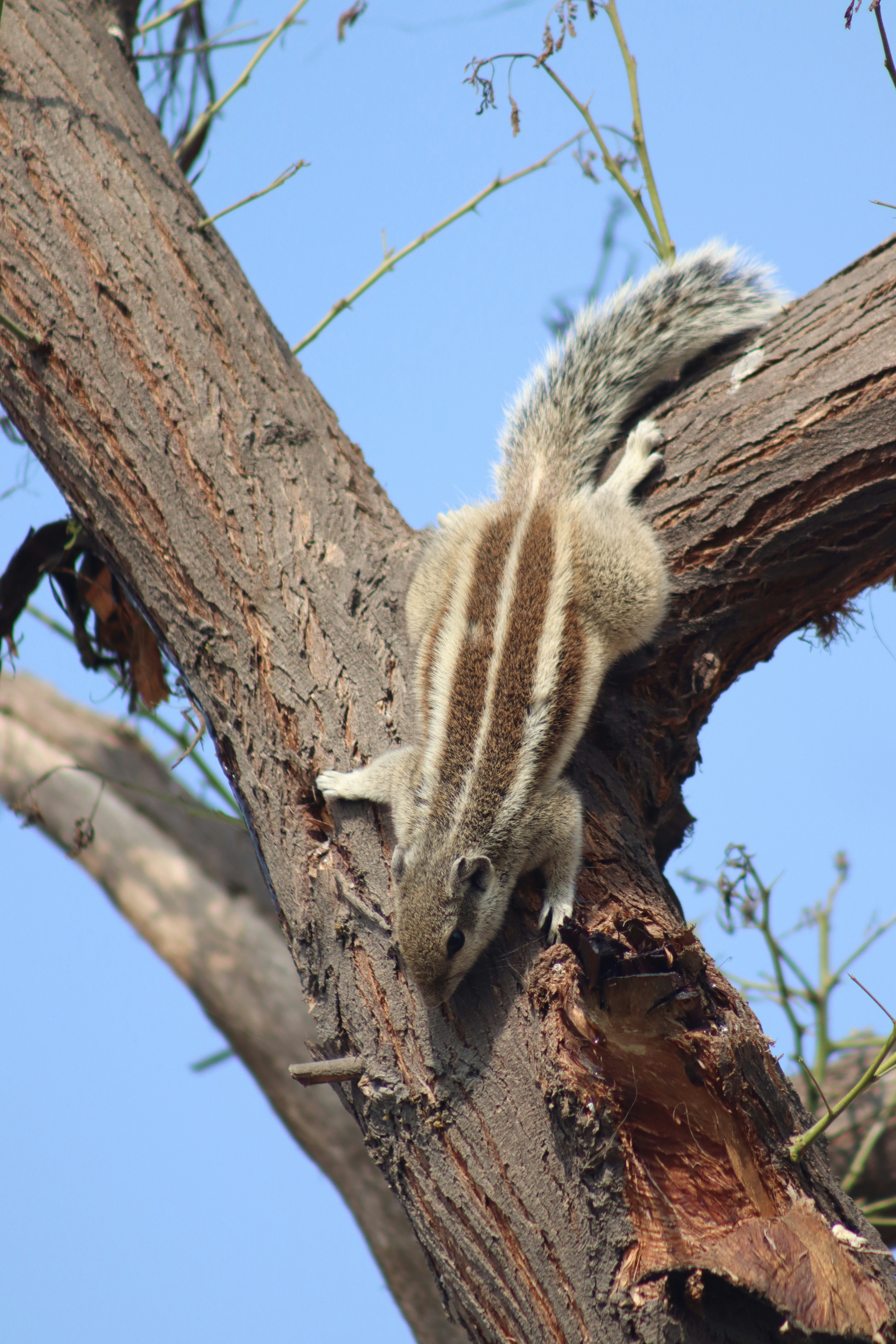 Photo by drphotographer152