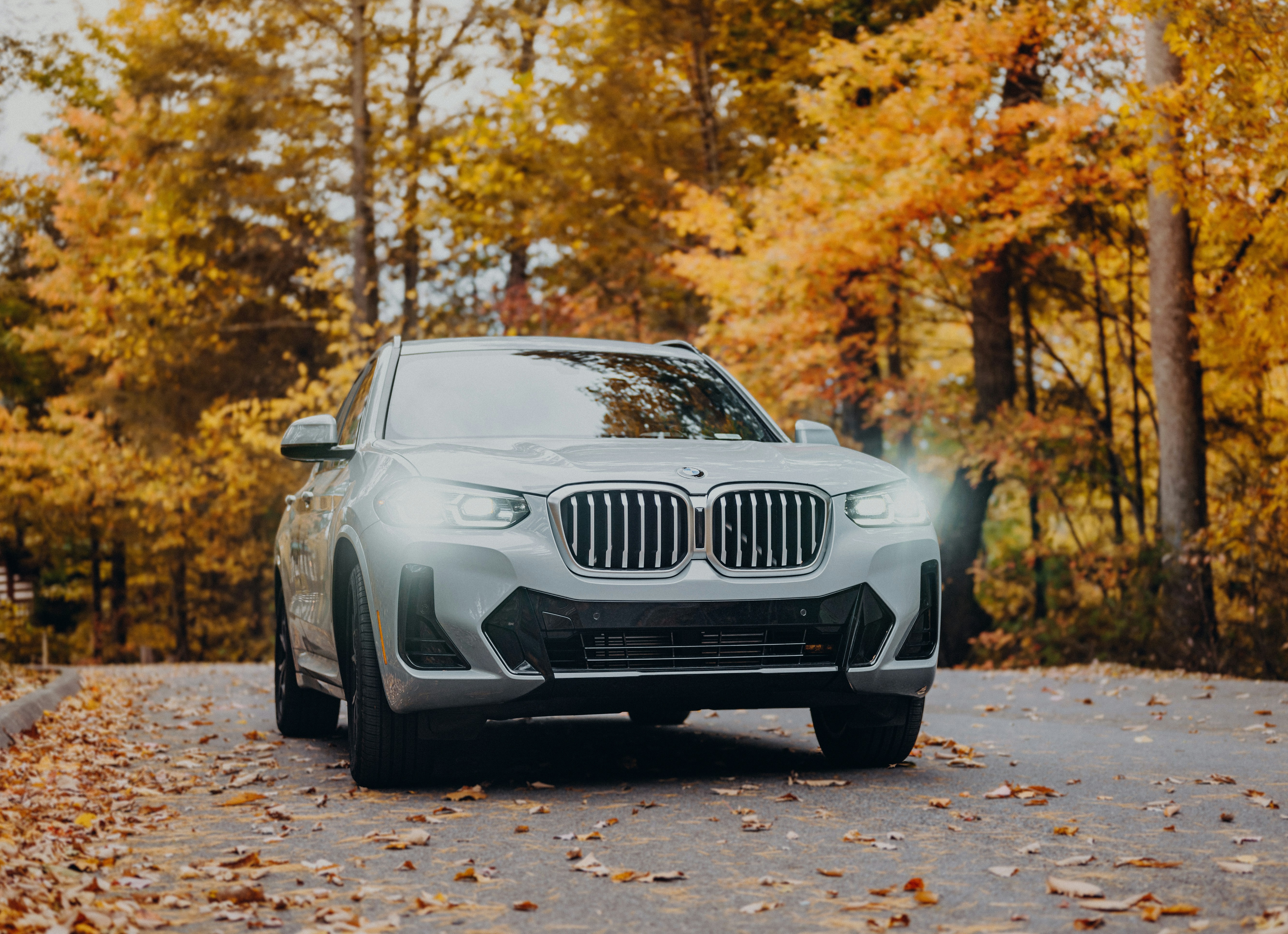 Photo by vasylyna_7010