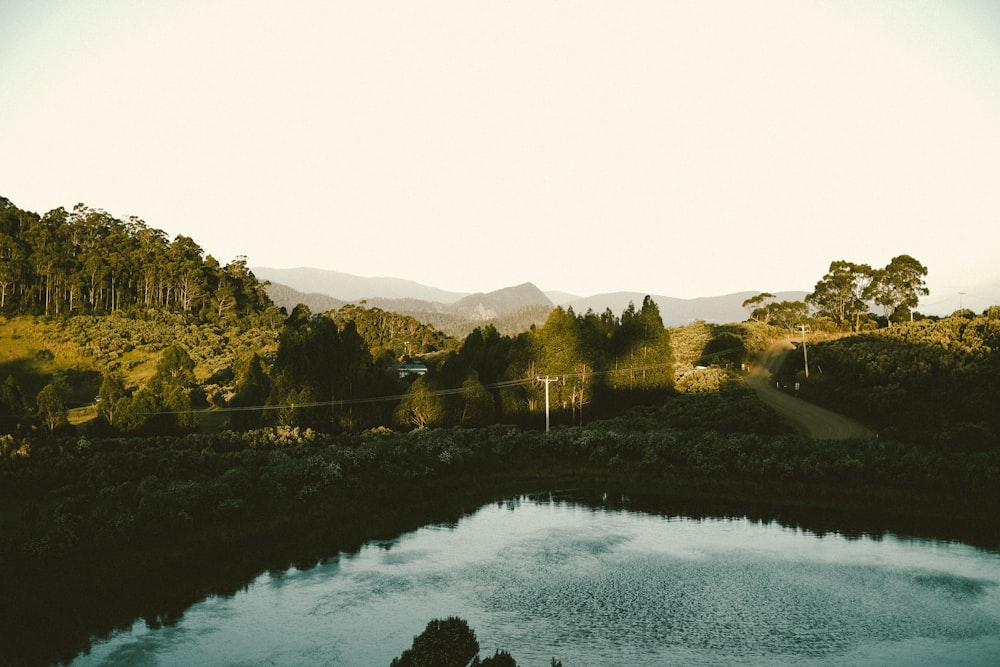 a lake surrounded by a lush green forest