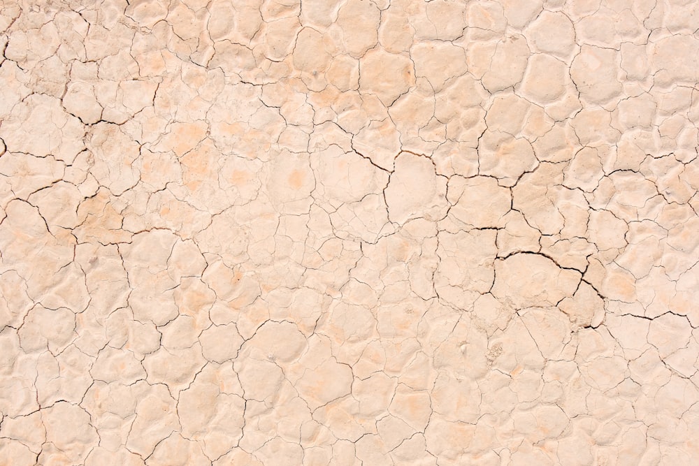 a white wall with cracks and cracks in it