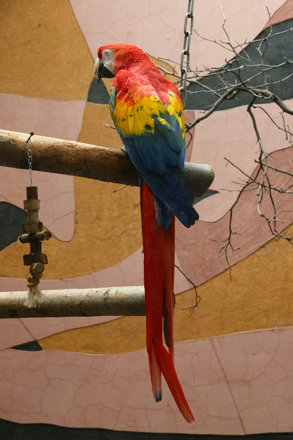 a red and yellow parrot perched on a branch