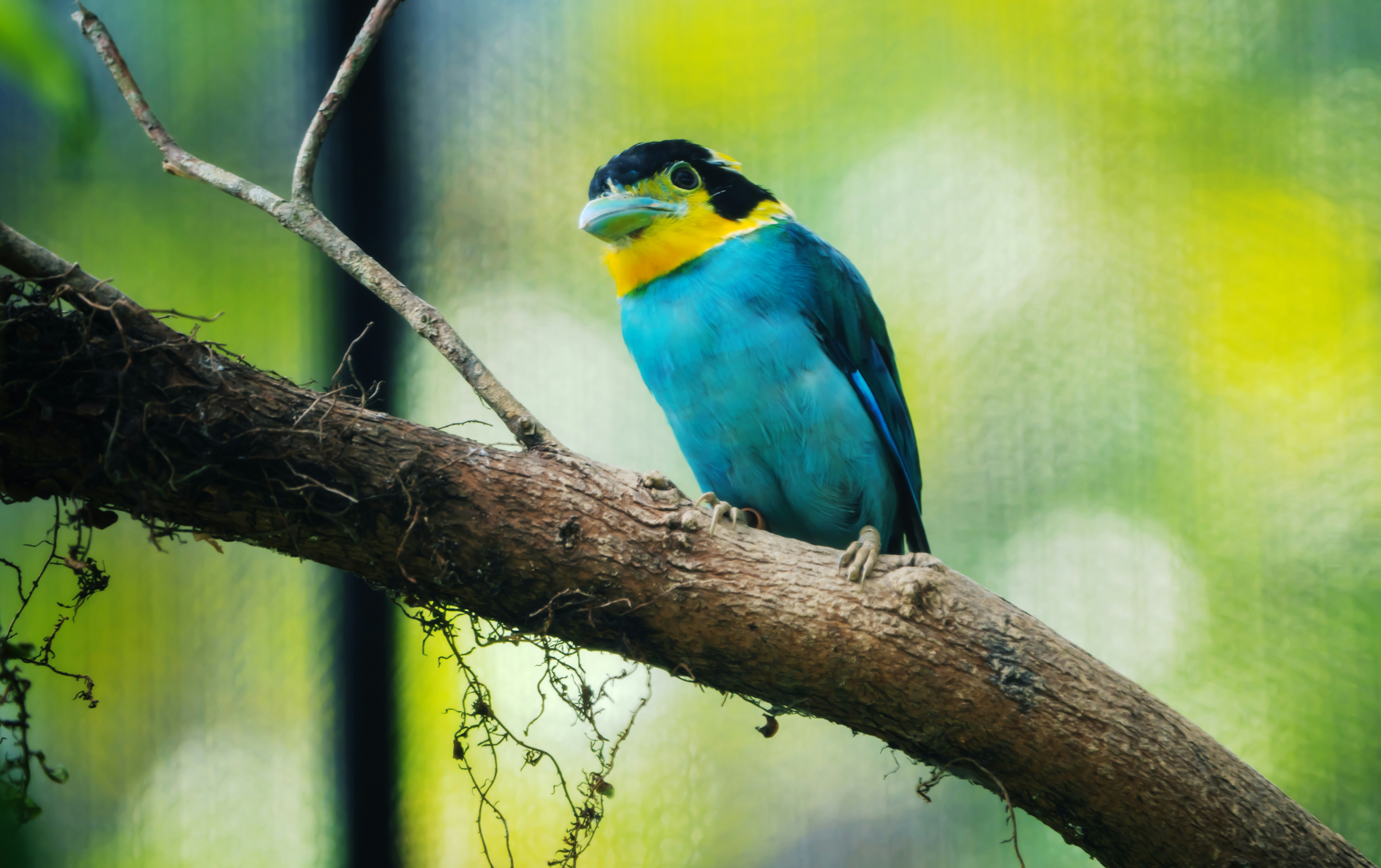 Photo by mhphotography13