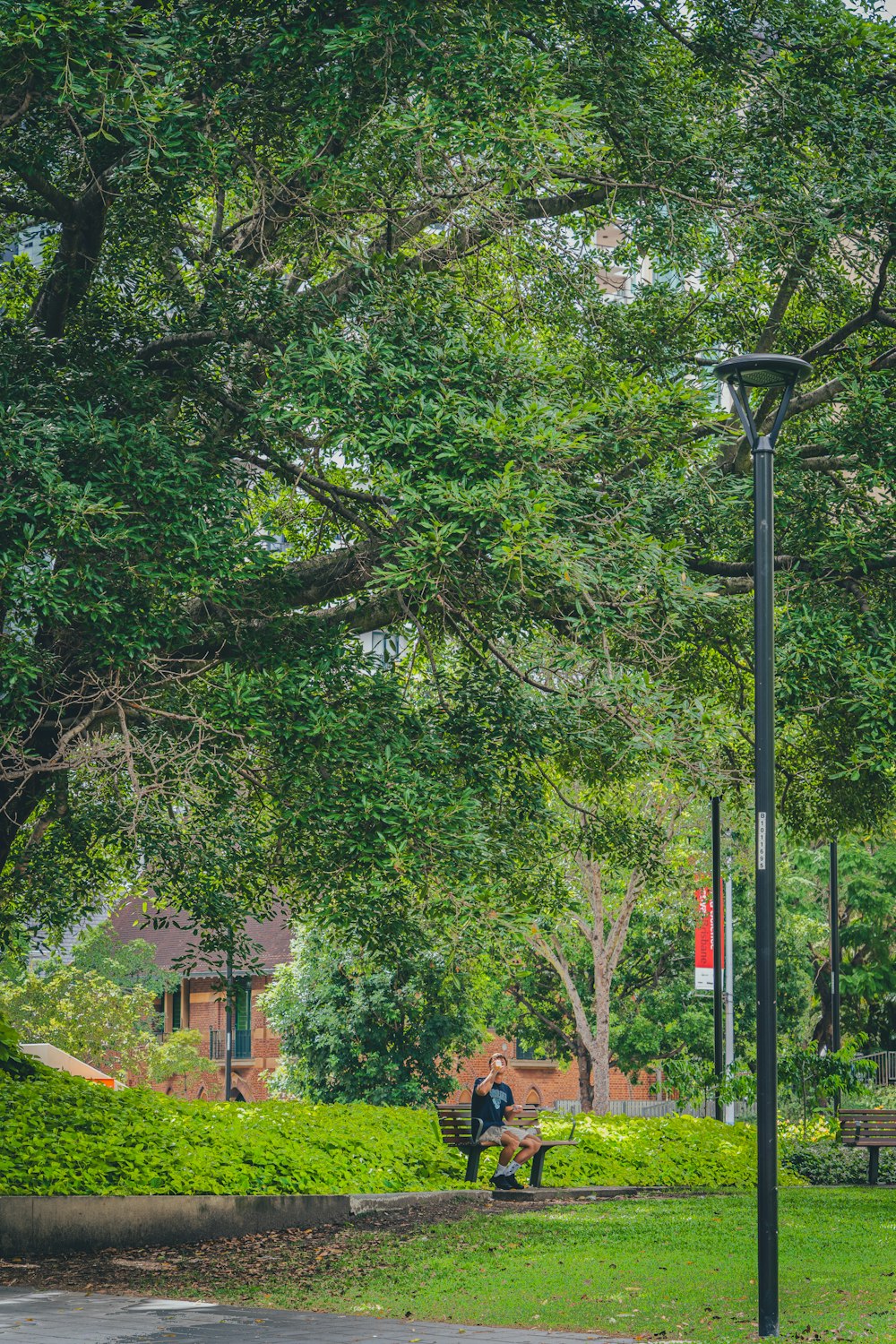 a couple of people sitting on a bench under a tree