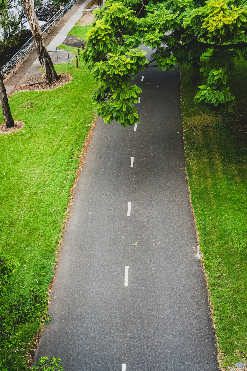 a paved road surrounded by trees and grass