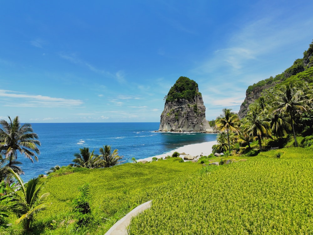 a lush green field next to a body of water