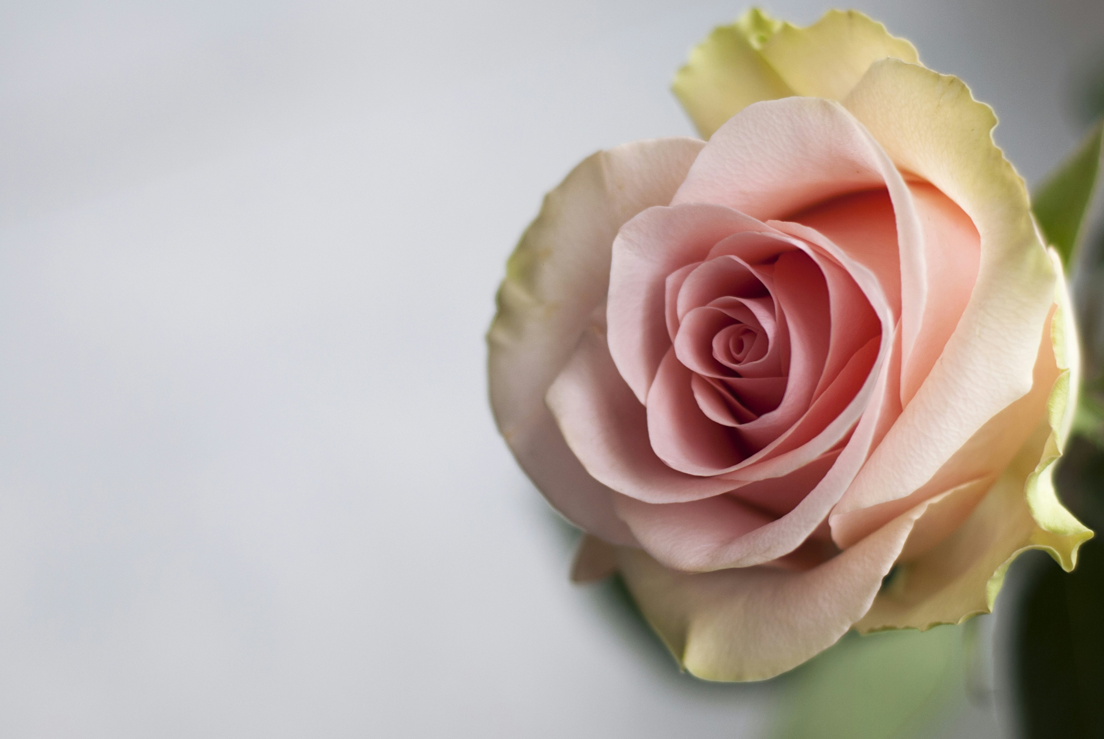 Photo by kovalskihelga