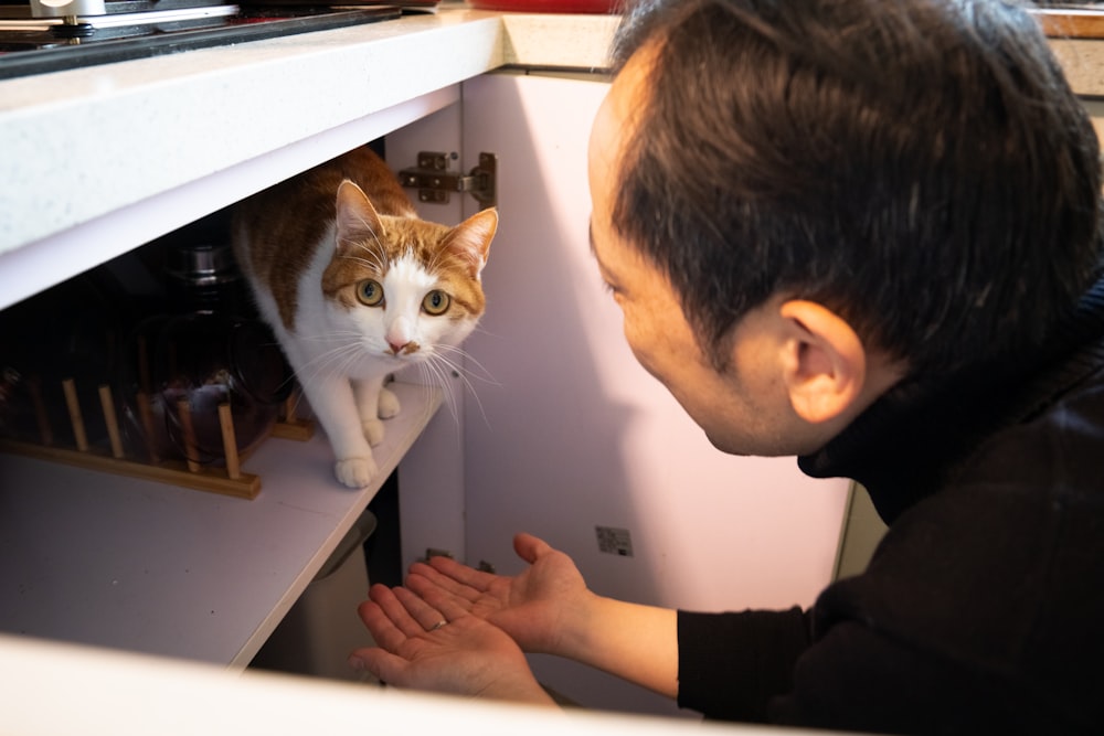 a man looking at a cat in a cabinet