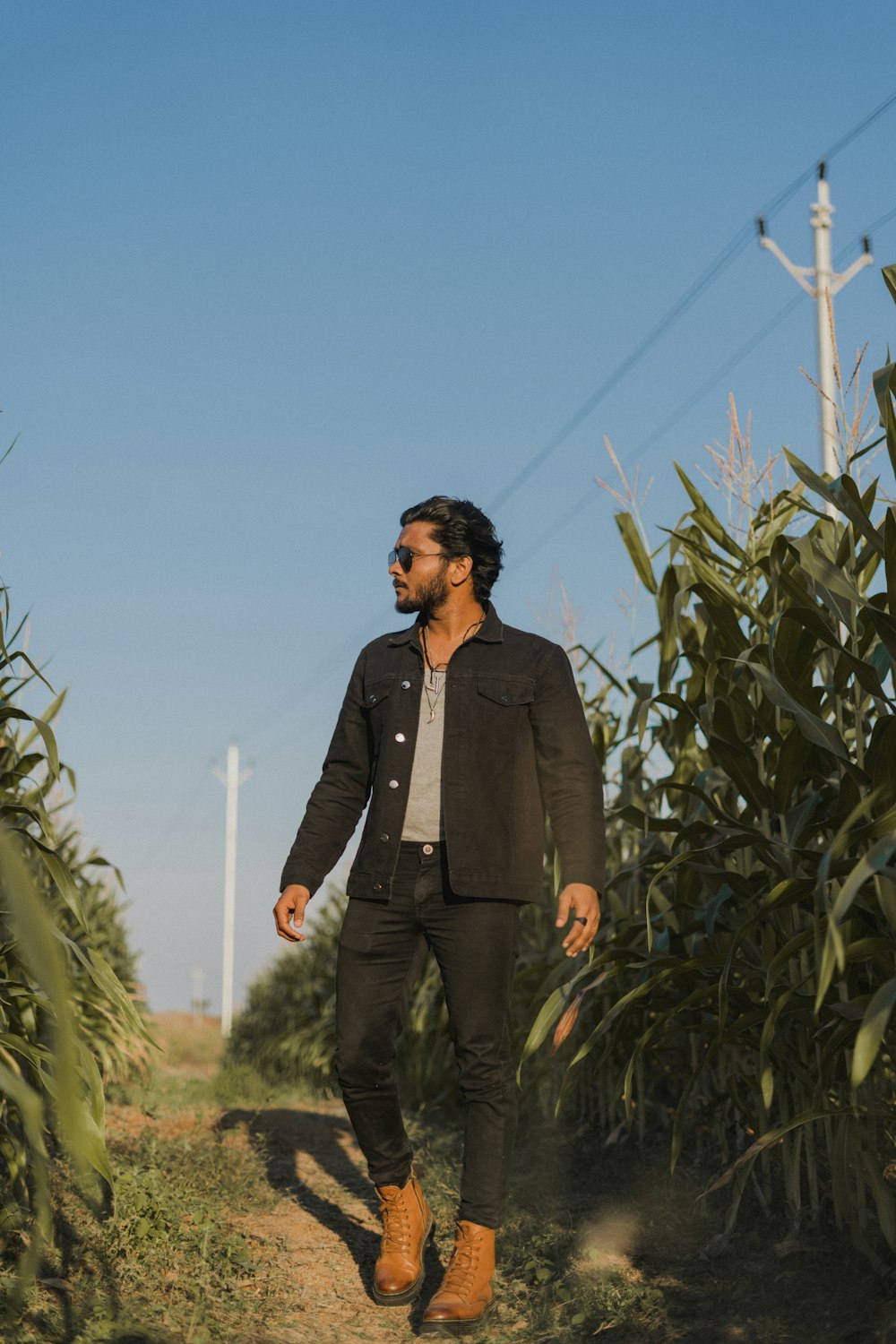 a man walking through a field of corn