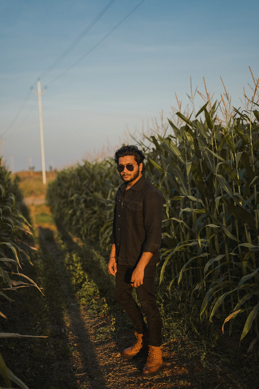 a man standing in the middle of a corn field