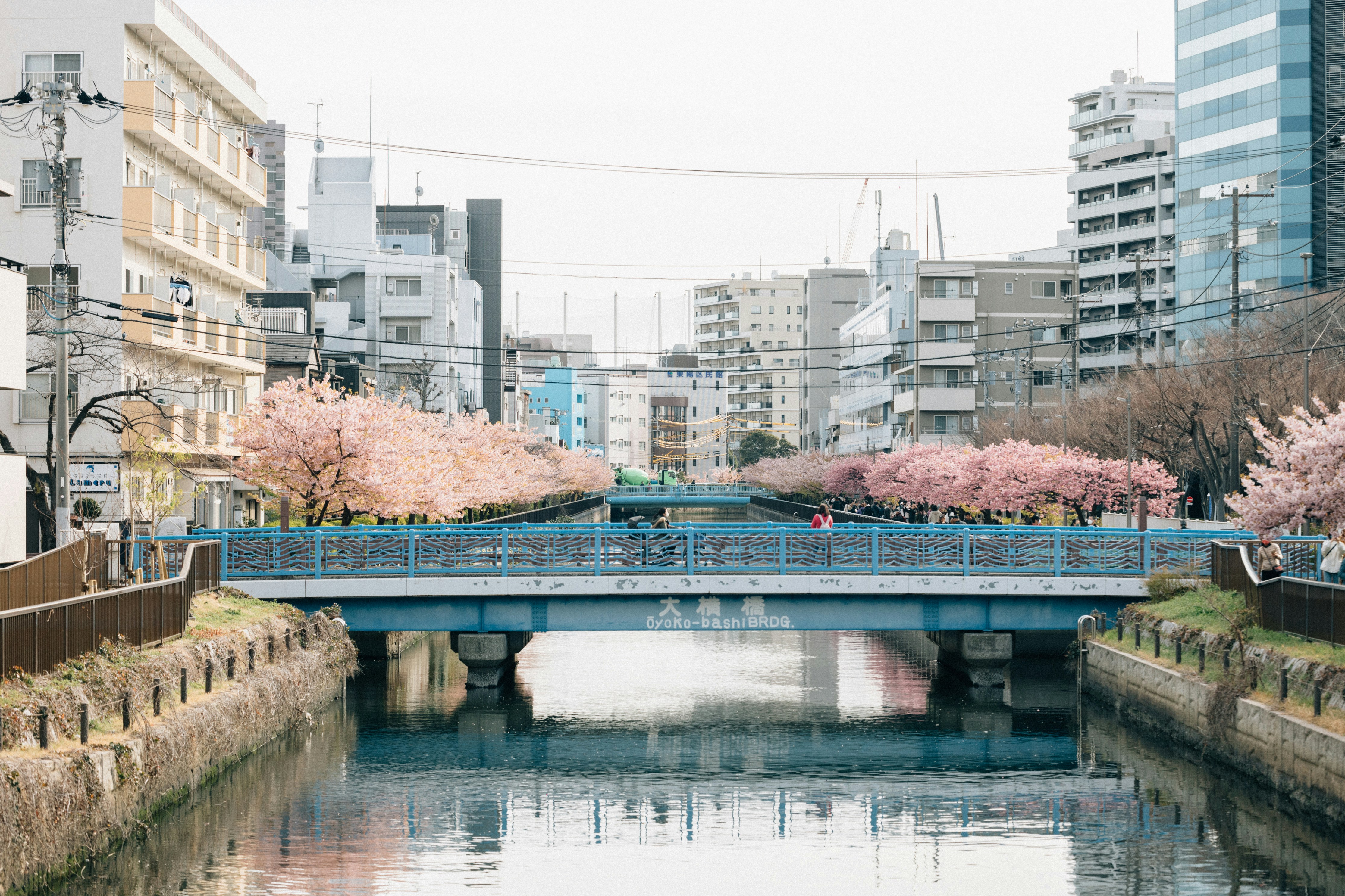 Photo by tsuyoshikozu