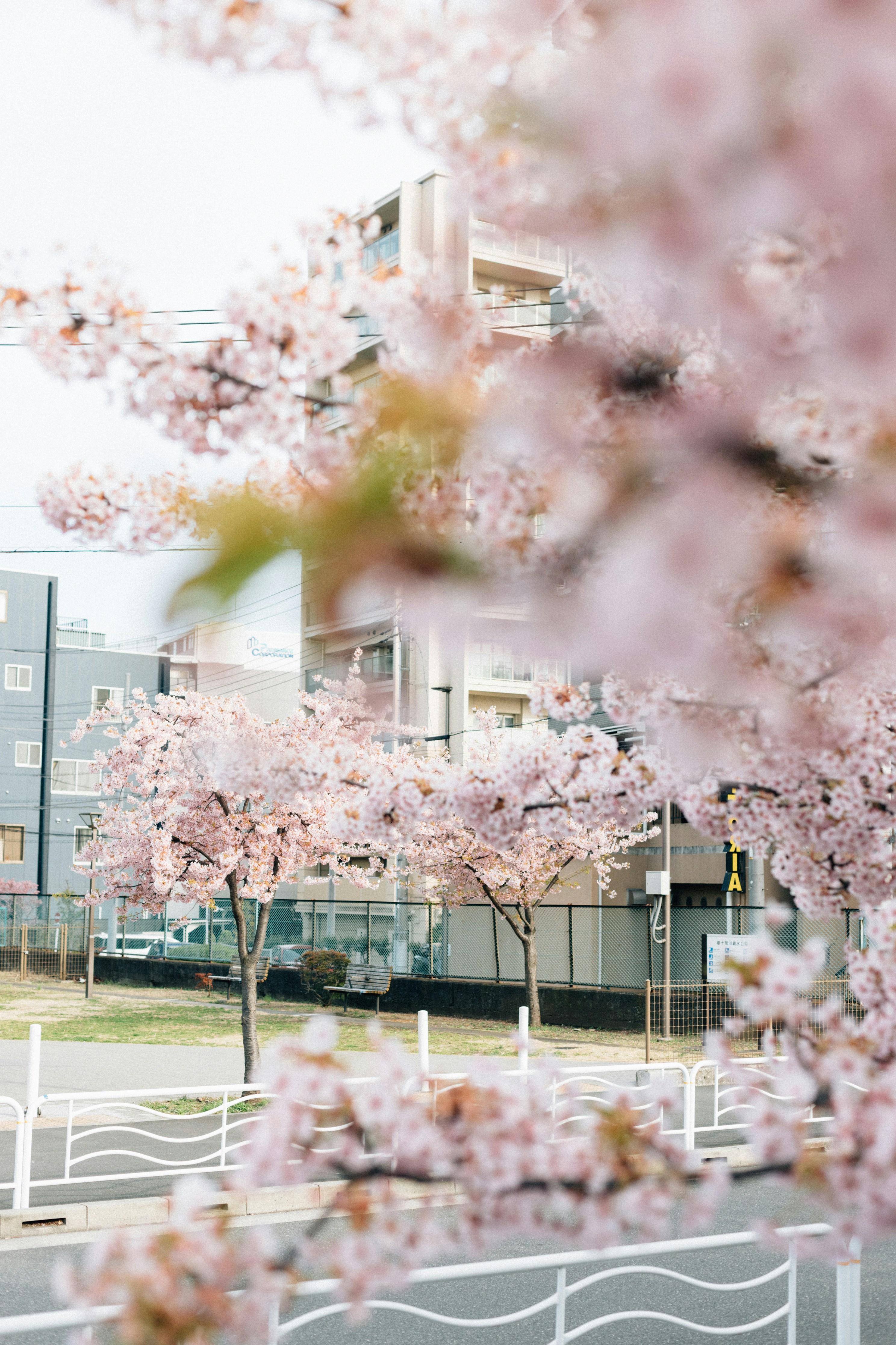 Photo by tsuyoshikozu