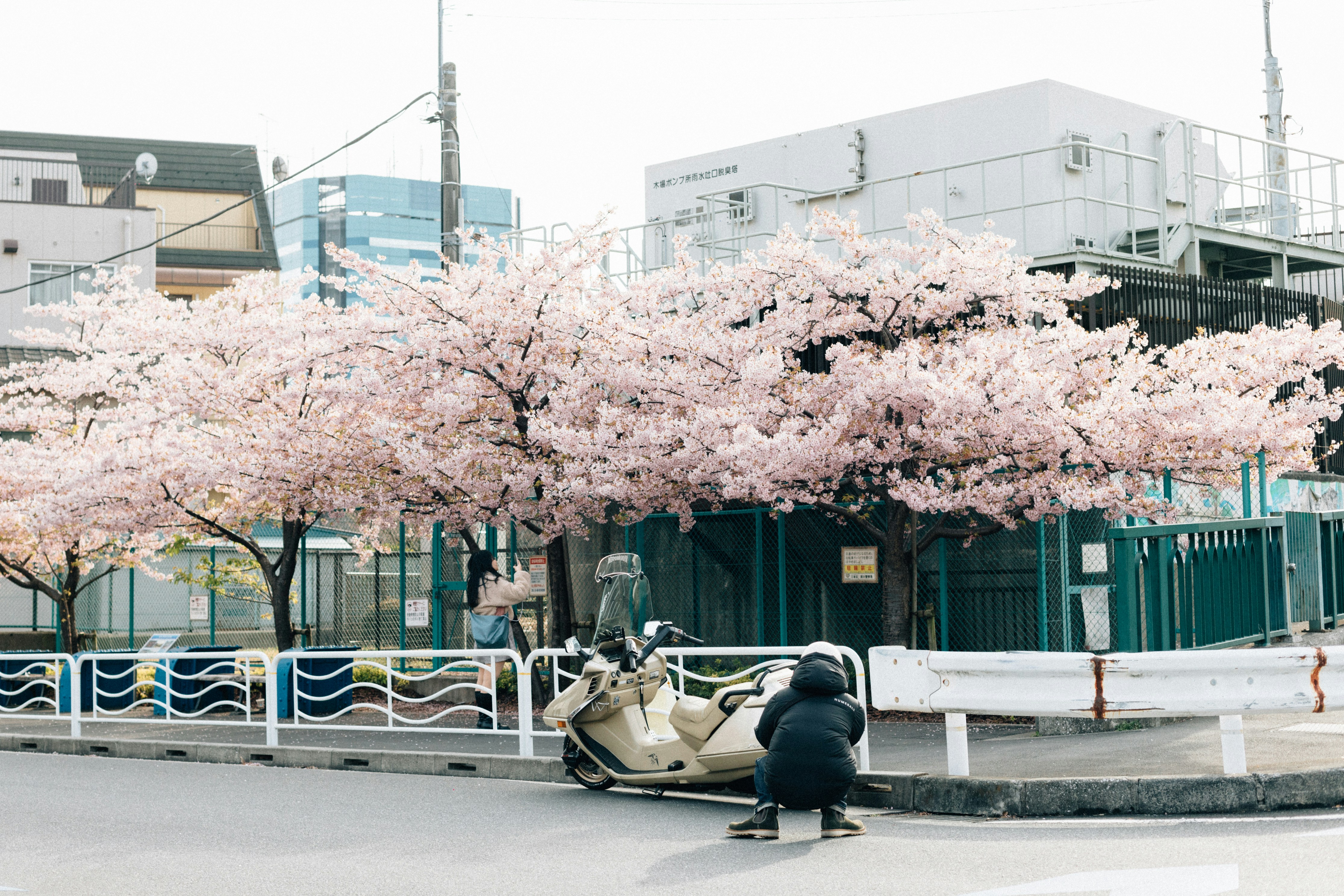 Photo by tsuyoshikozu