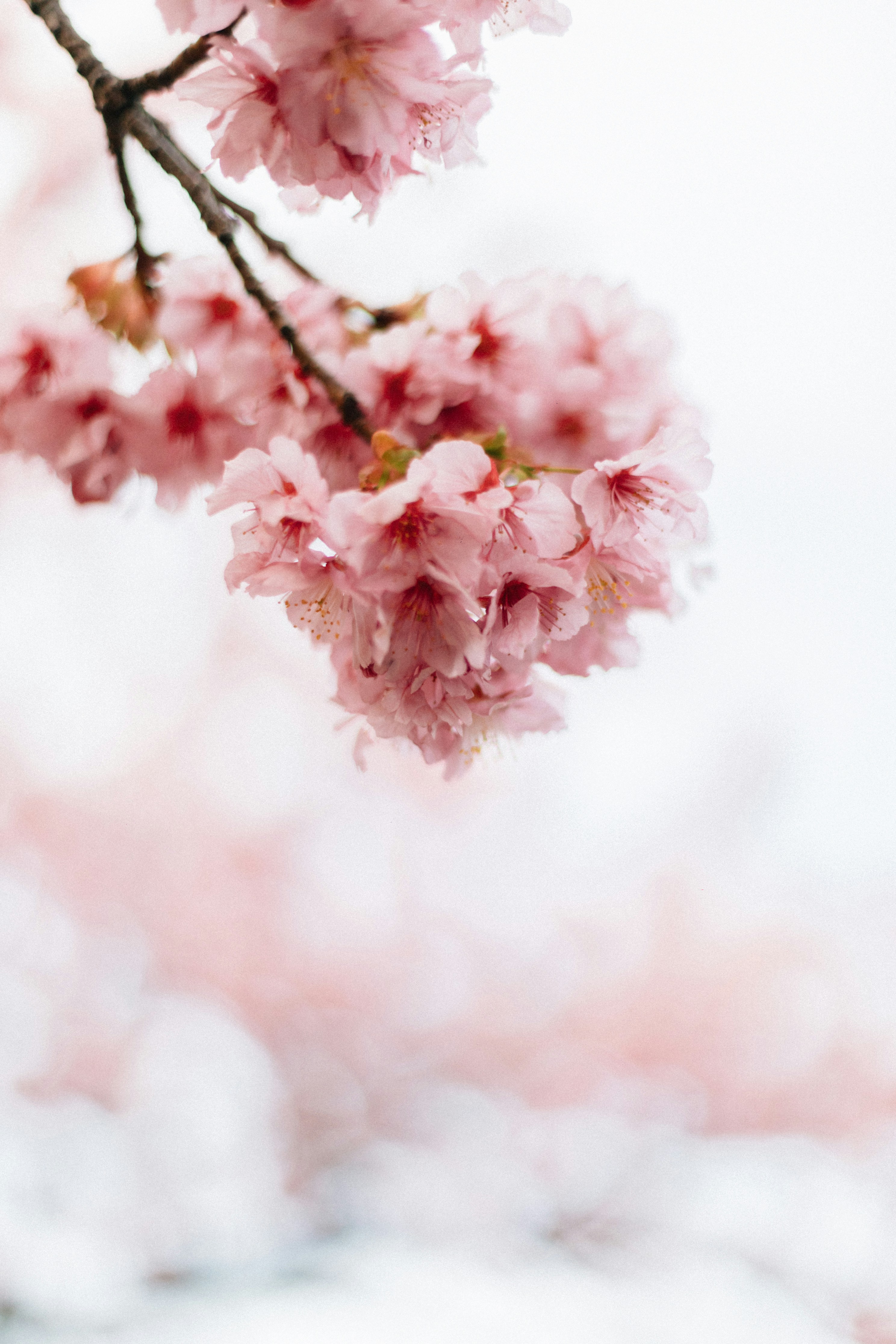 Photo by tsuyoshikozu