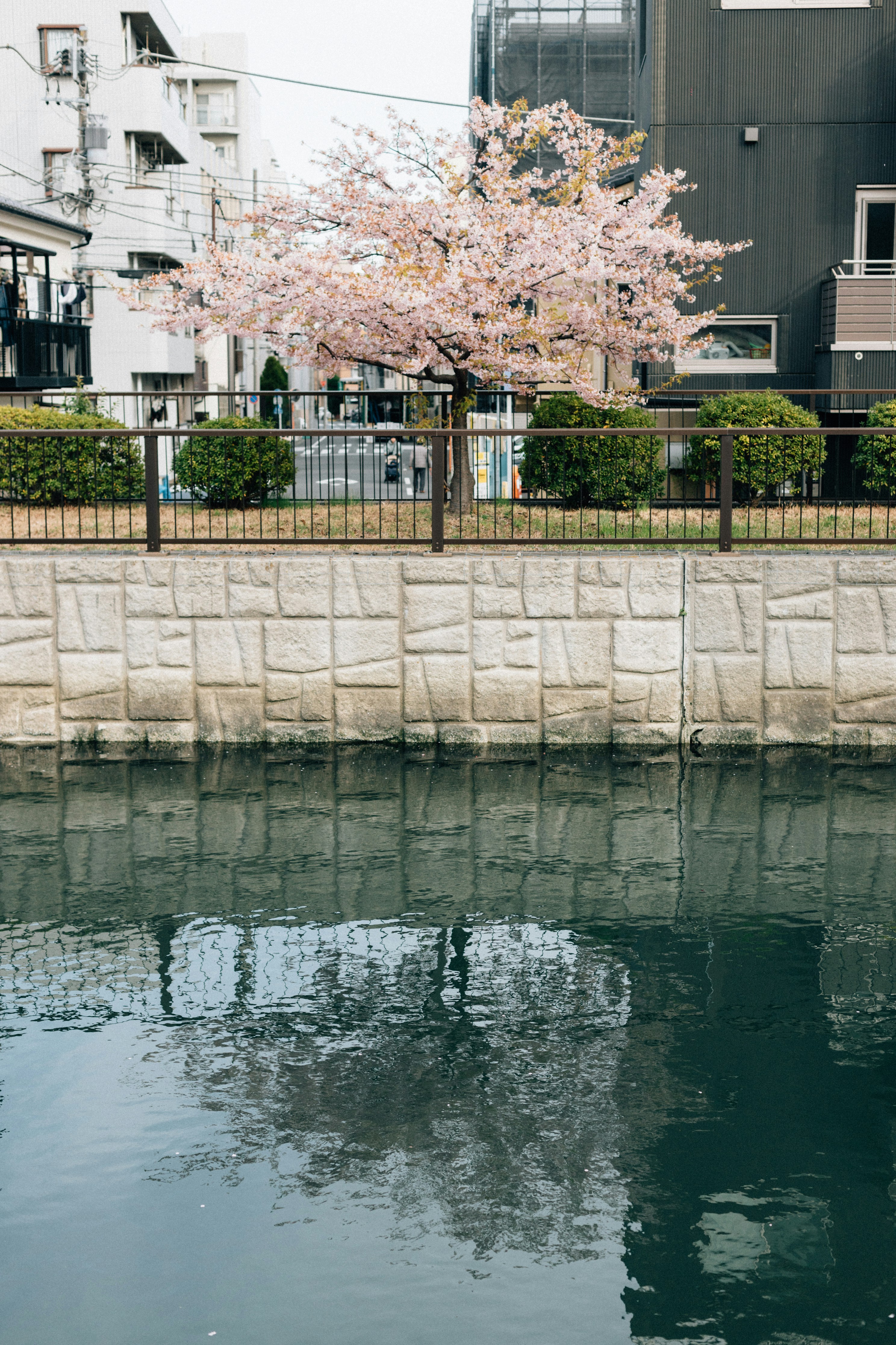 Photo by tsuyoshikozu