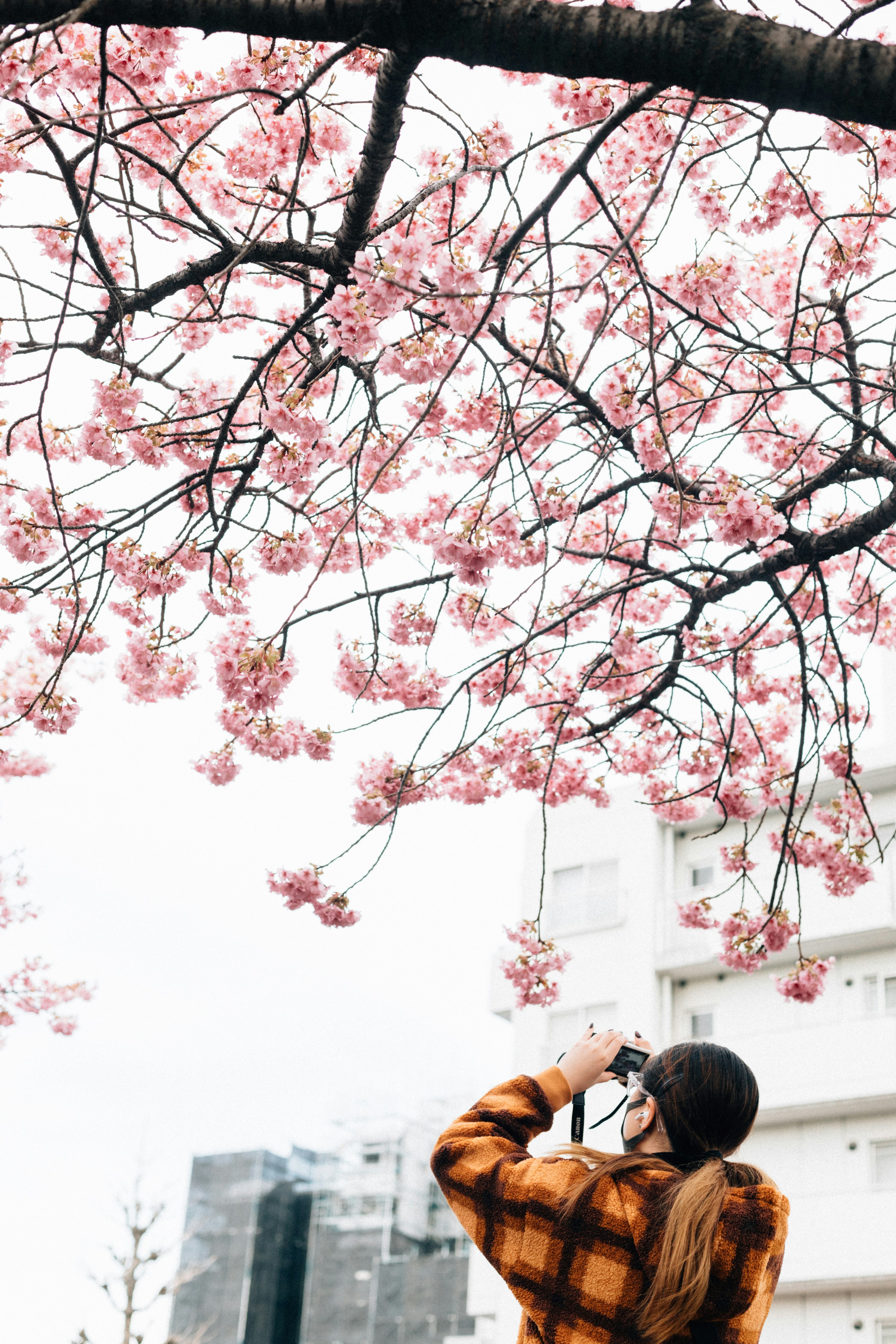 Photo by tsuyoshikozu