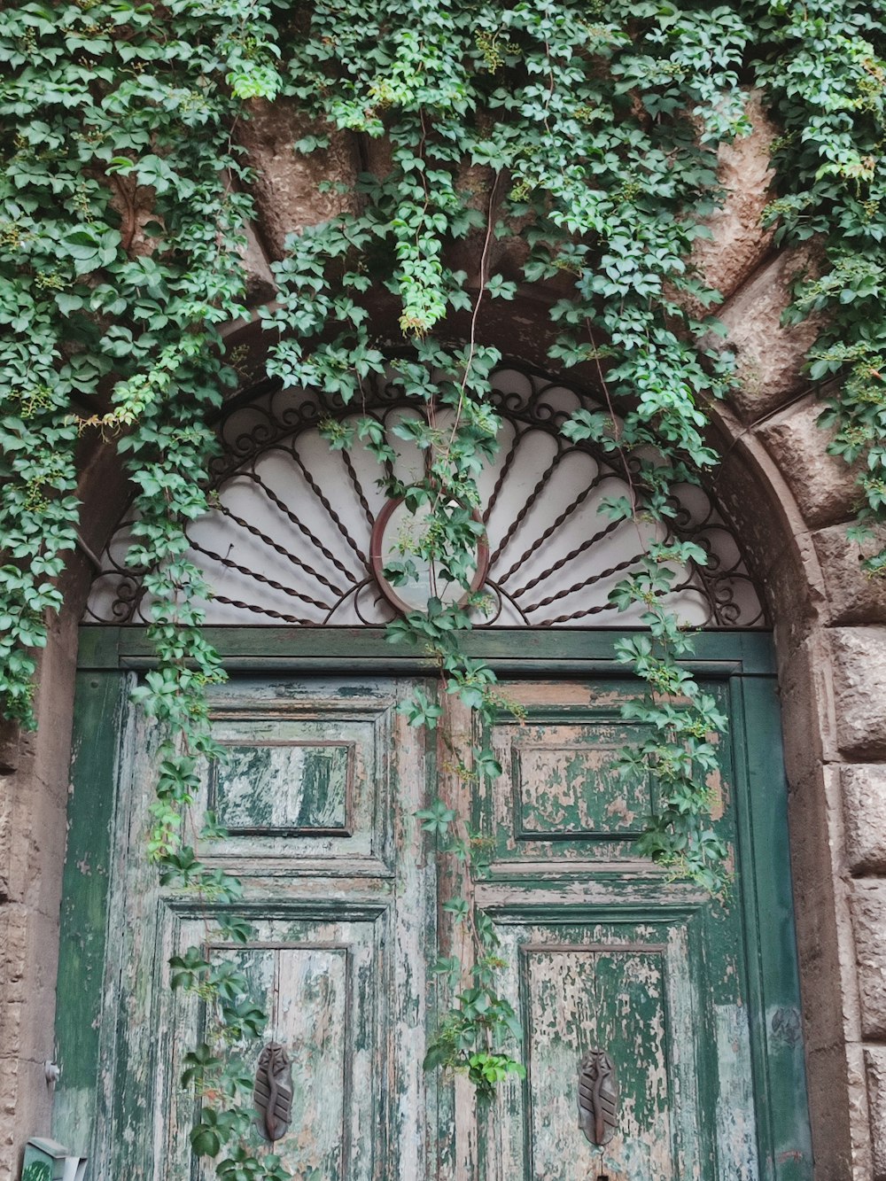 an old door with ivy growing over it