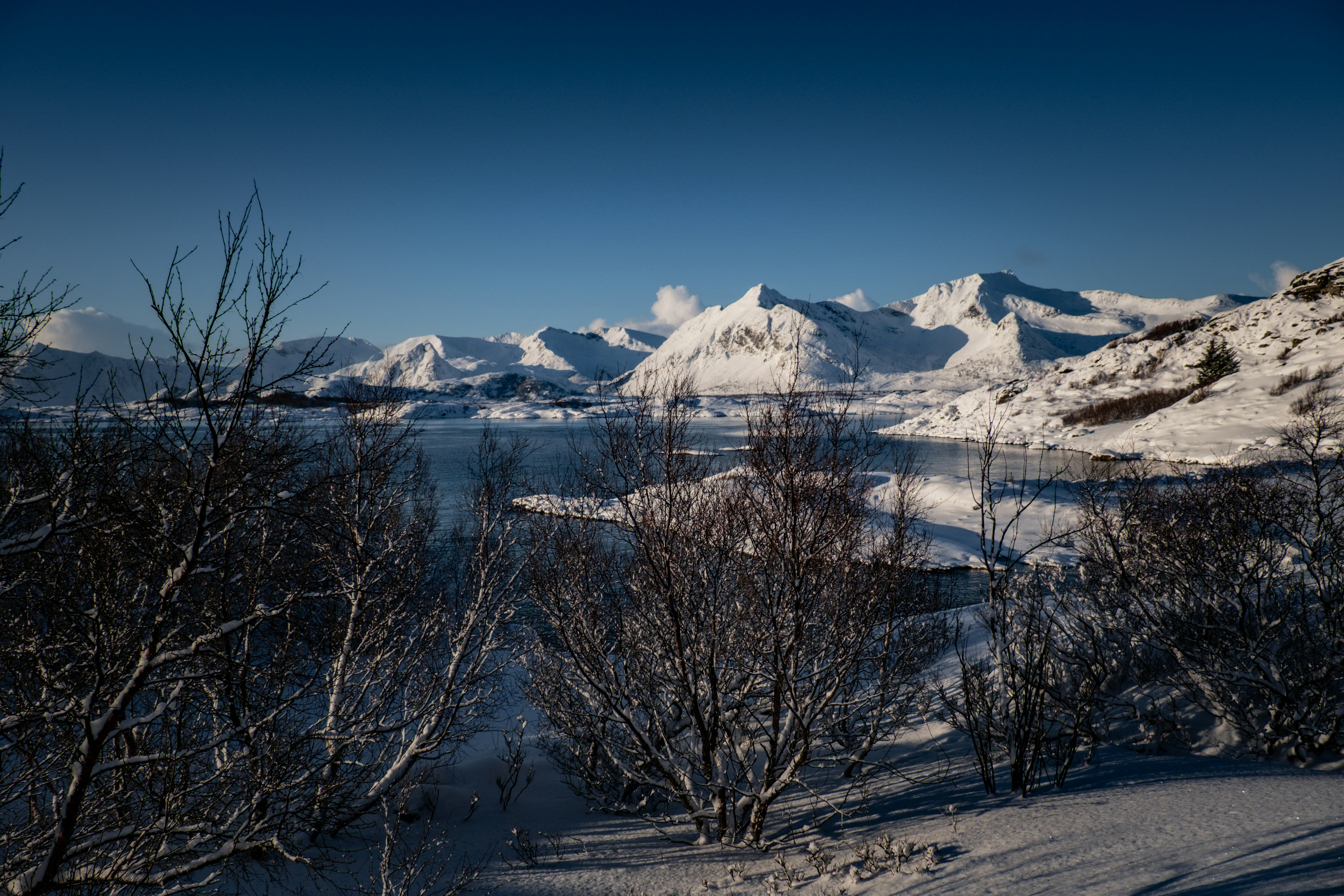 Photo by francesco_ungaro