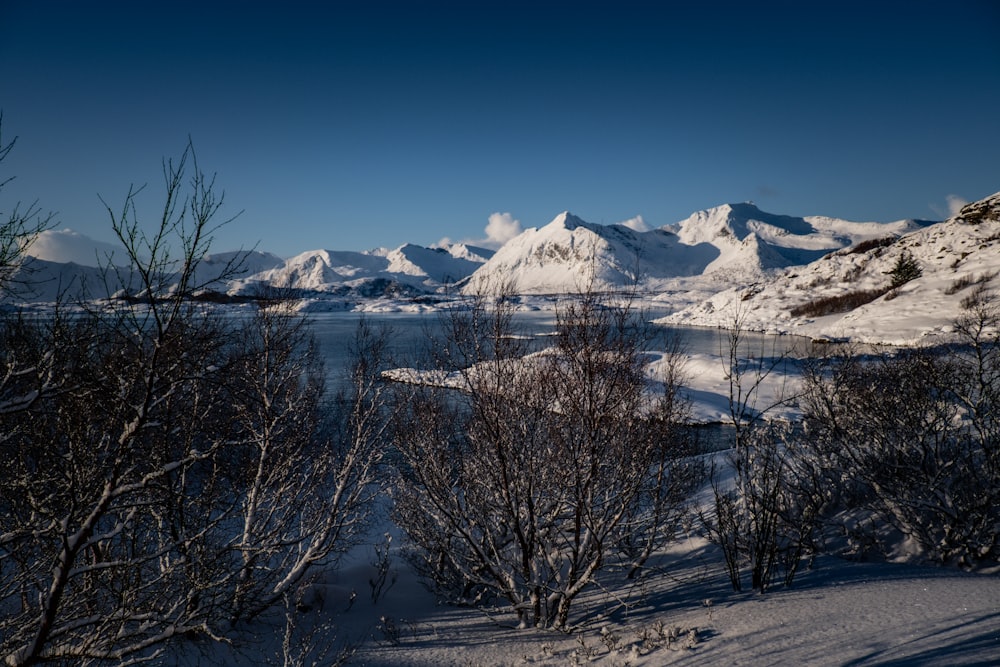 a snowy landscape with mountains in the background