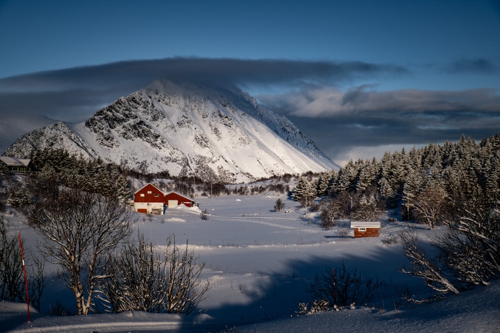 a snowy landscape with a mountain in the background