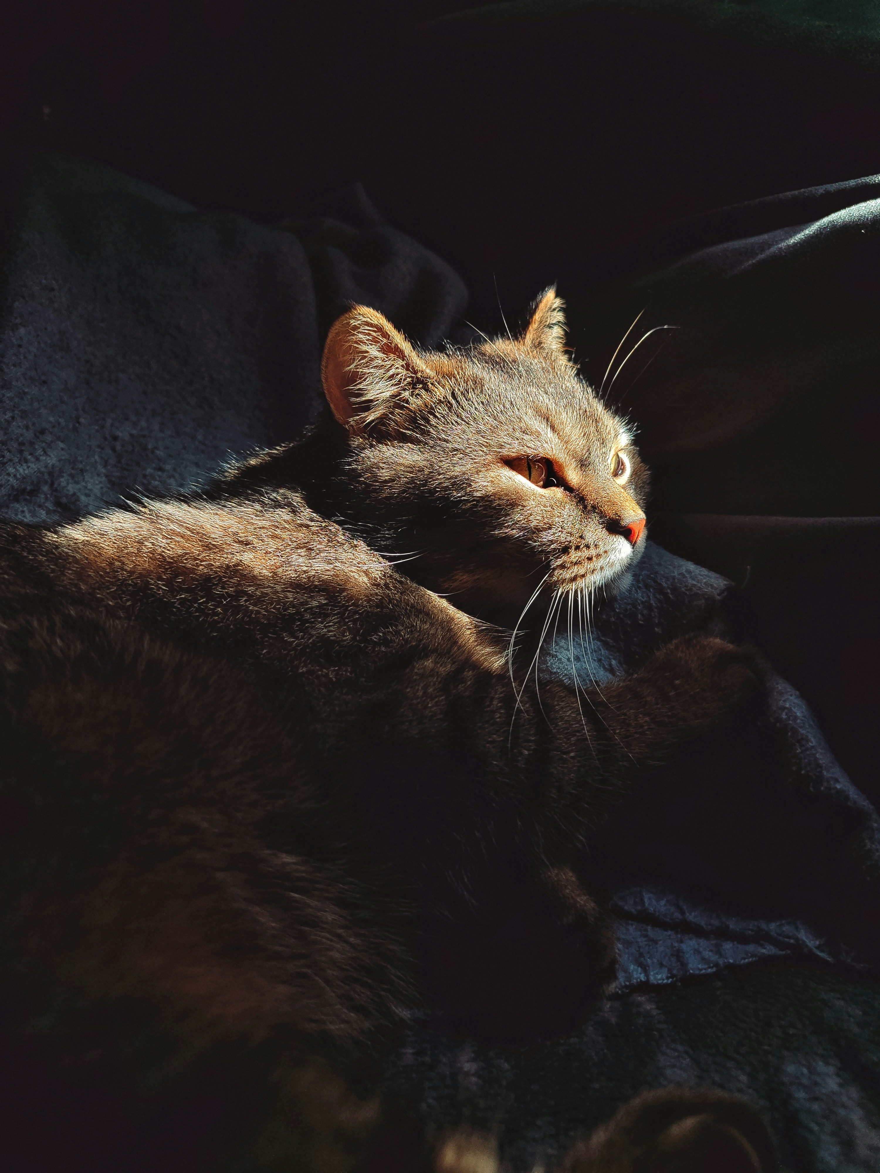 Emotional Echoes in the Home (image credits: unsplash)