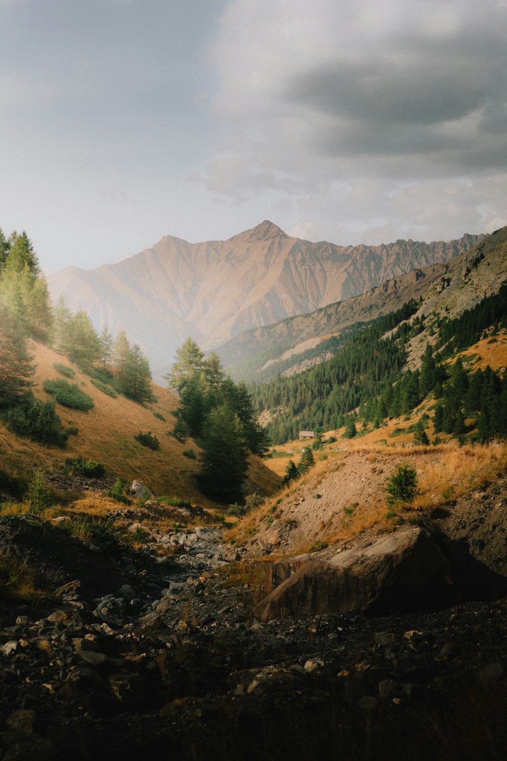 a view of a valley with mountains in the background