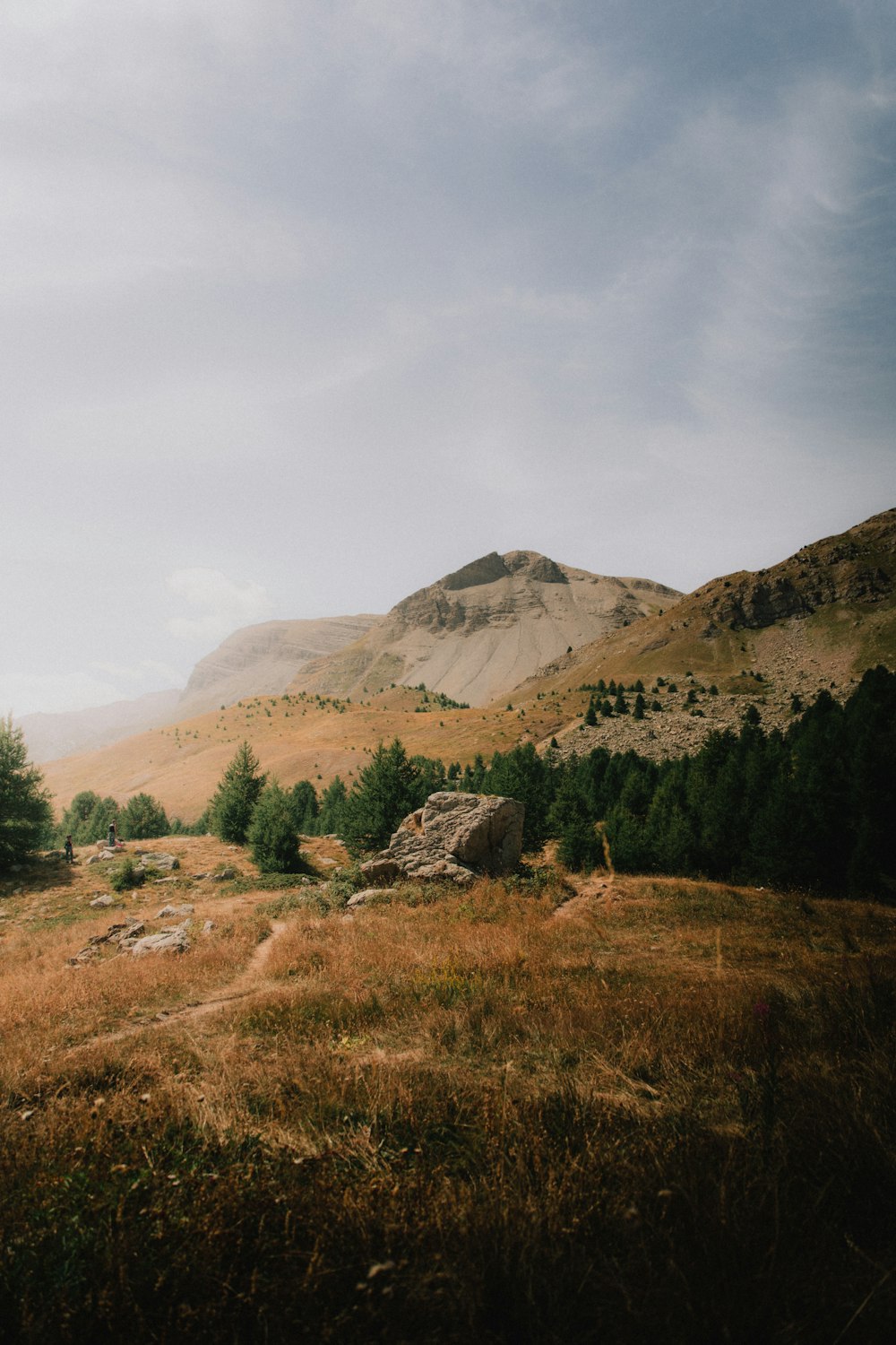 a grassy field with a mountain in the background