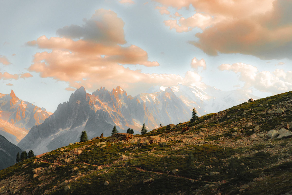 A rocky slope with scattered pines near Chamonix, jagged peaks behind under pink clouds