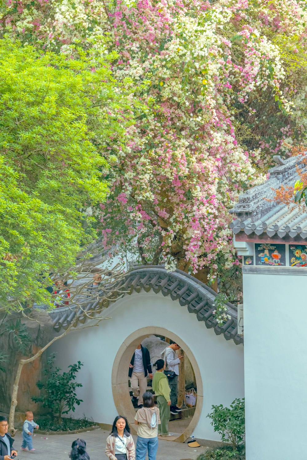 a group of people walking around a garden