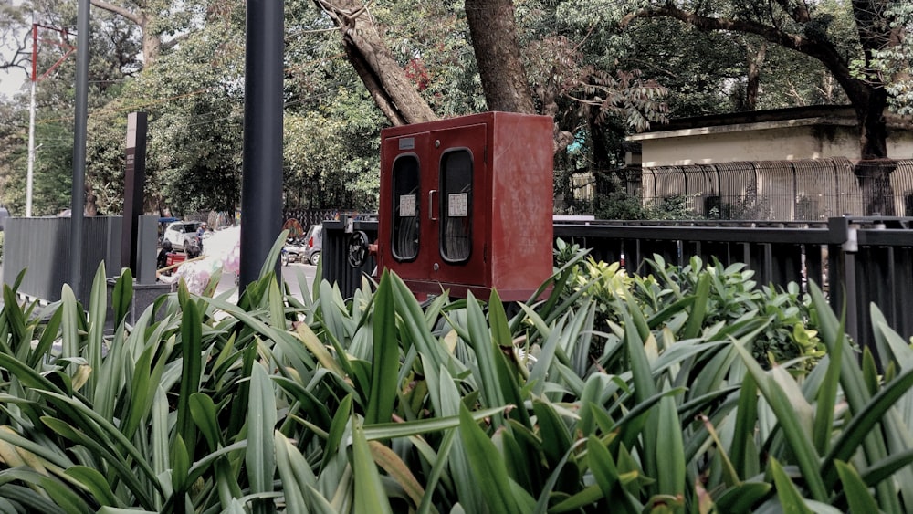 a red box sitting on top of a lush green field