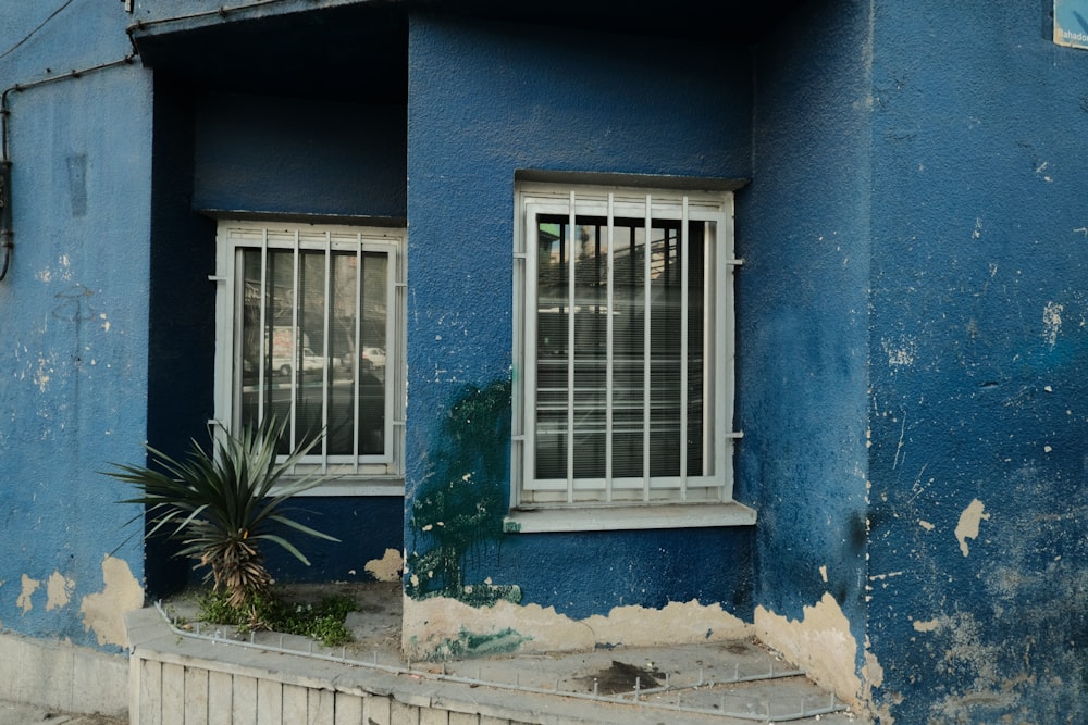 a blue building with two windows and a potted plant
