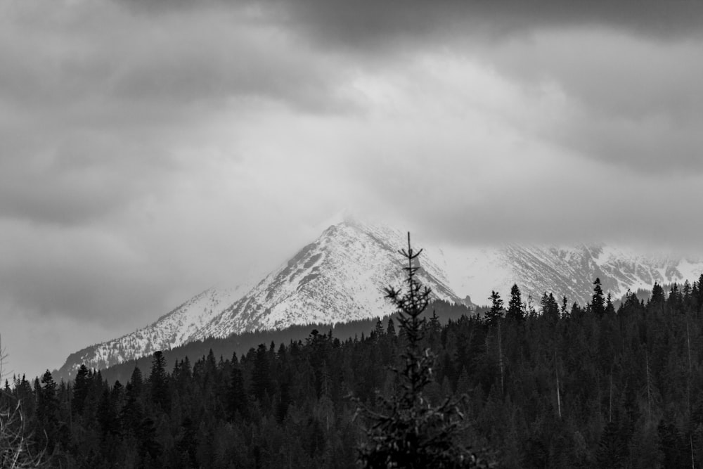 a black and white photo of a snow covered mountain