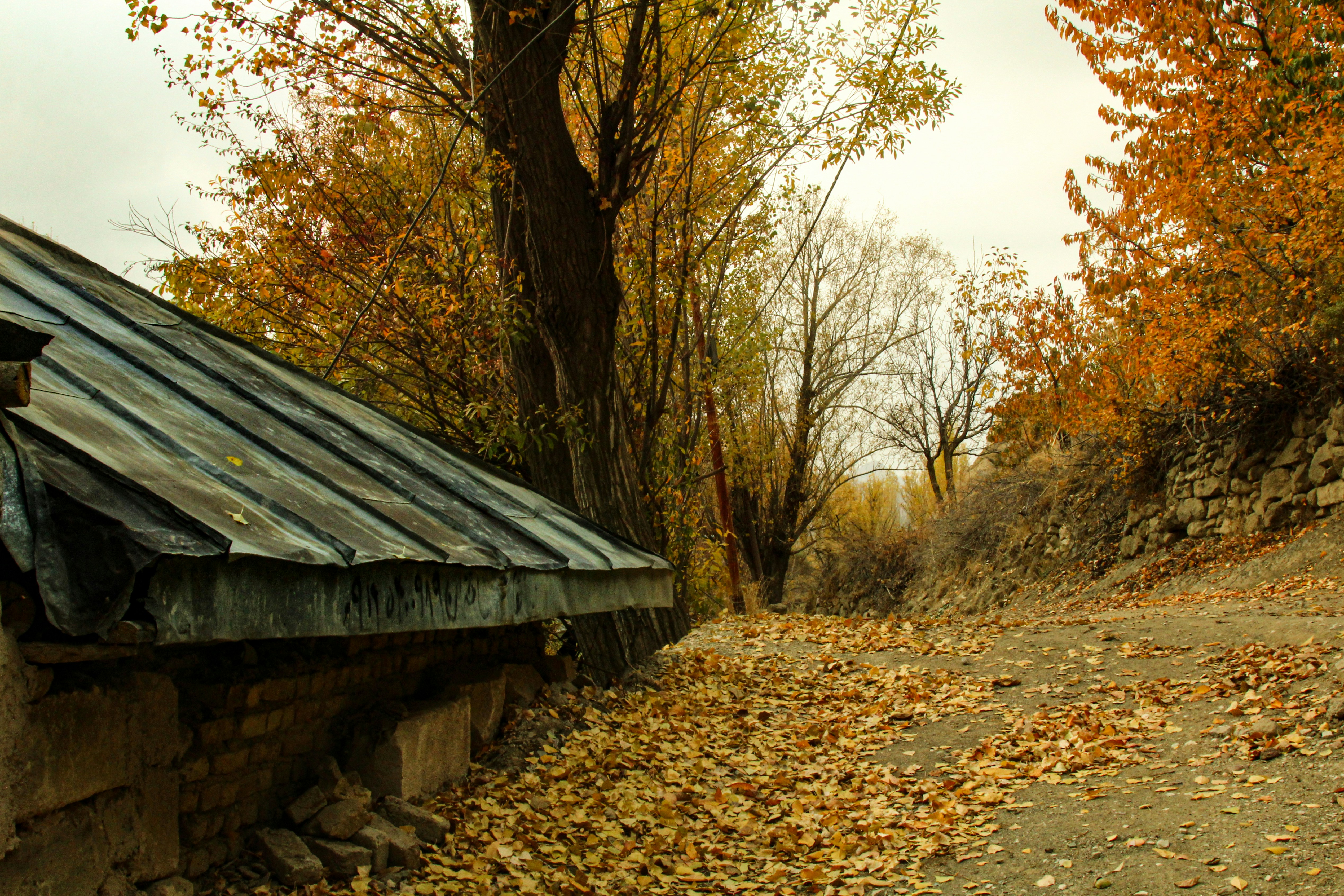 Photo by shima_abedin93