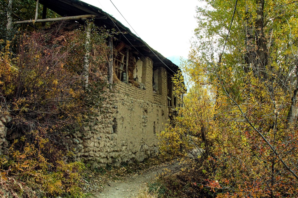 an old run down building in the woods